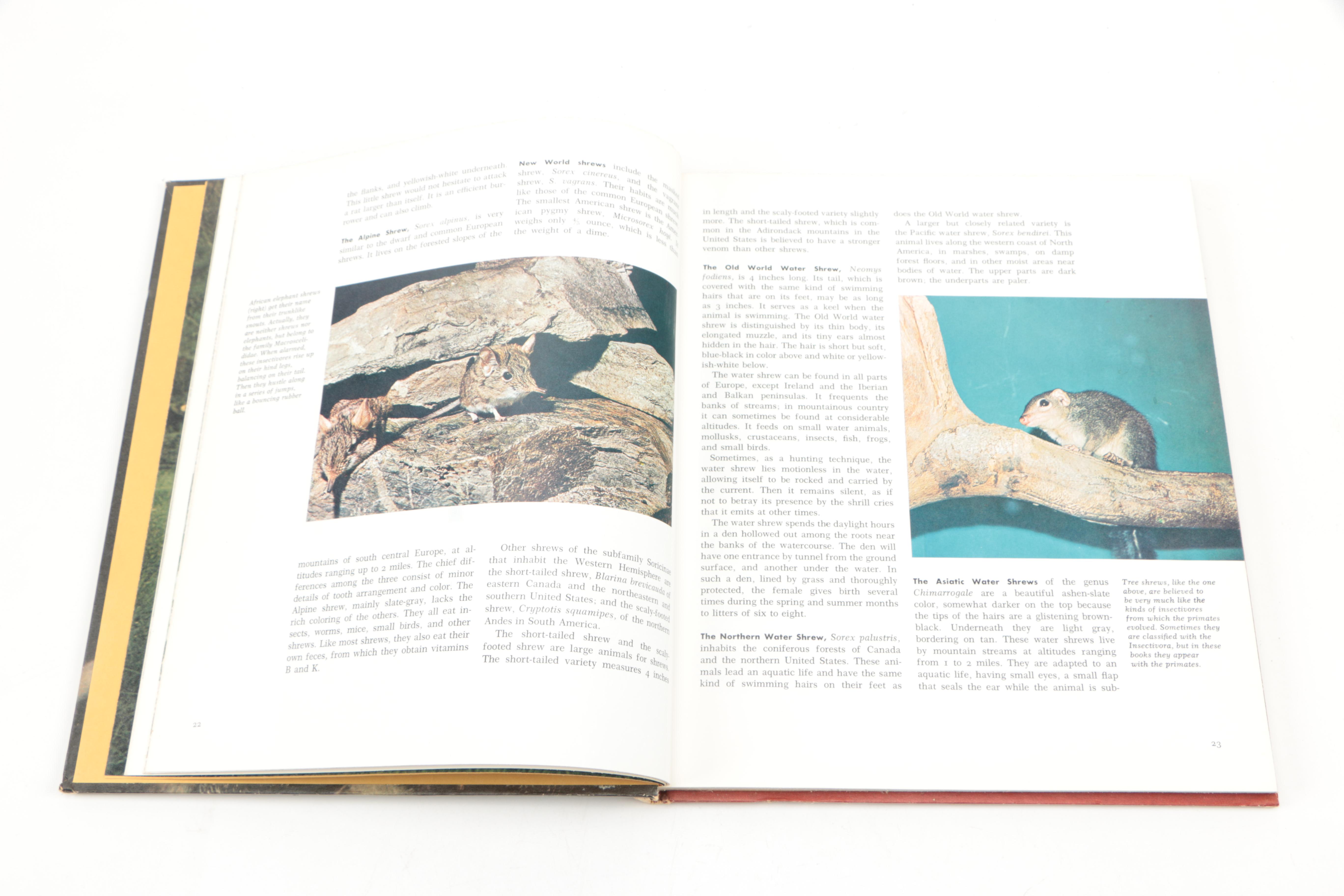 Collection of "The Illustrated Encyclopedia of the Animal Kingdom" Books