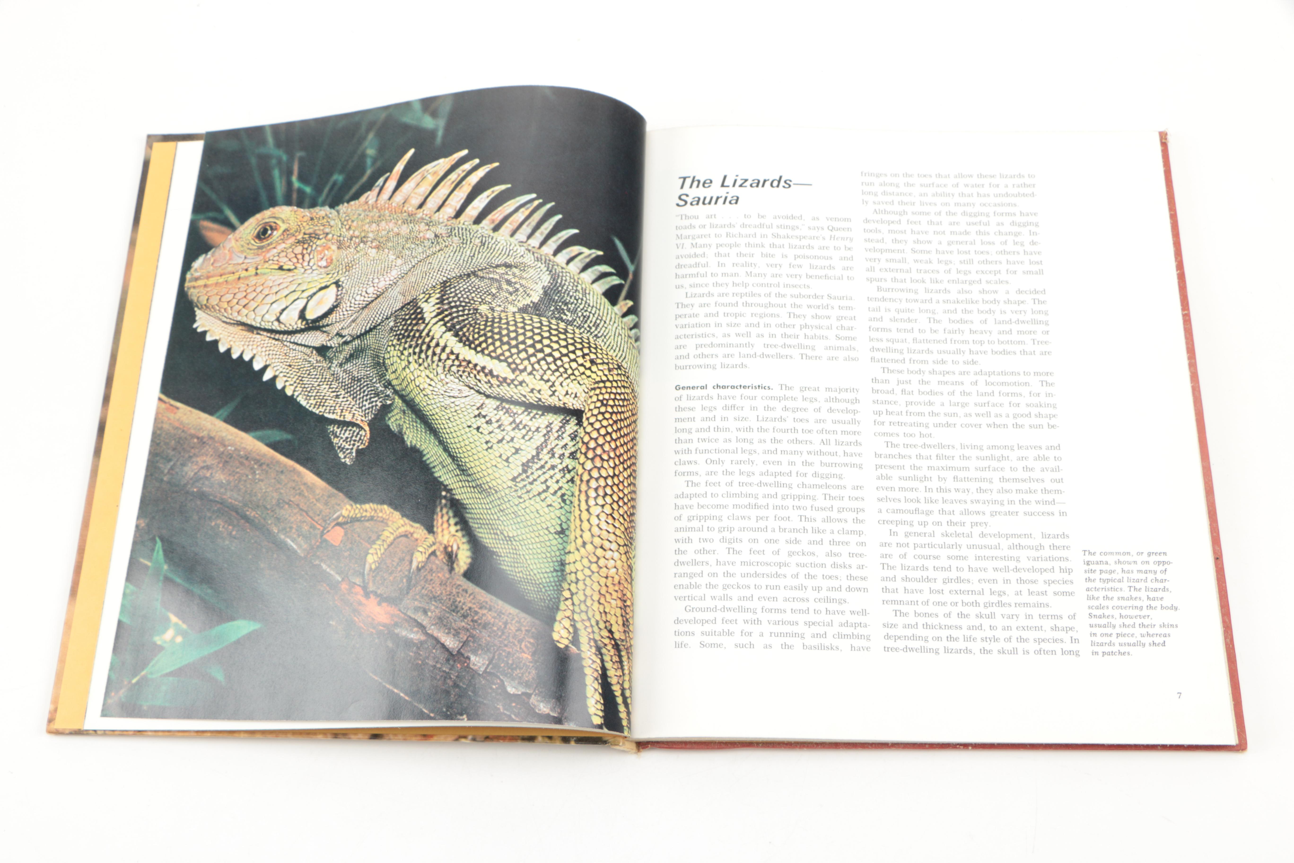 Collection of "The Illustrated Encyclopedia of the Animal Kingdom" Books
