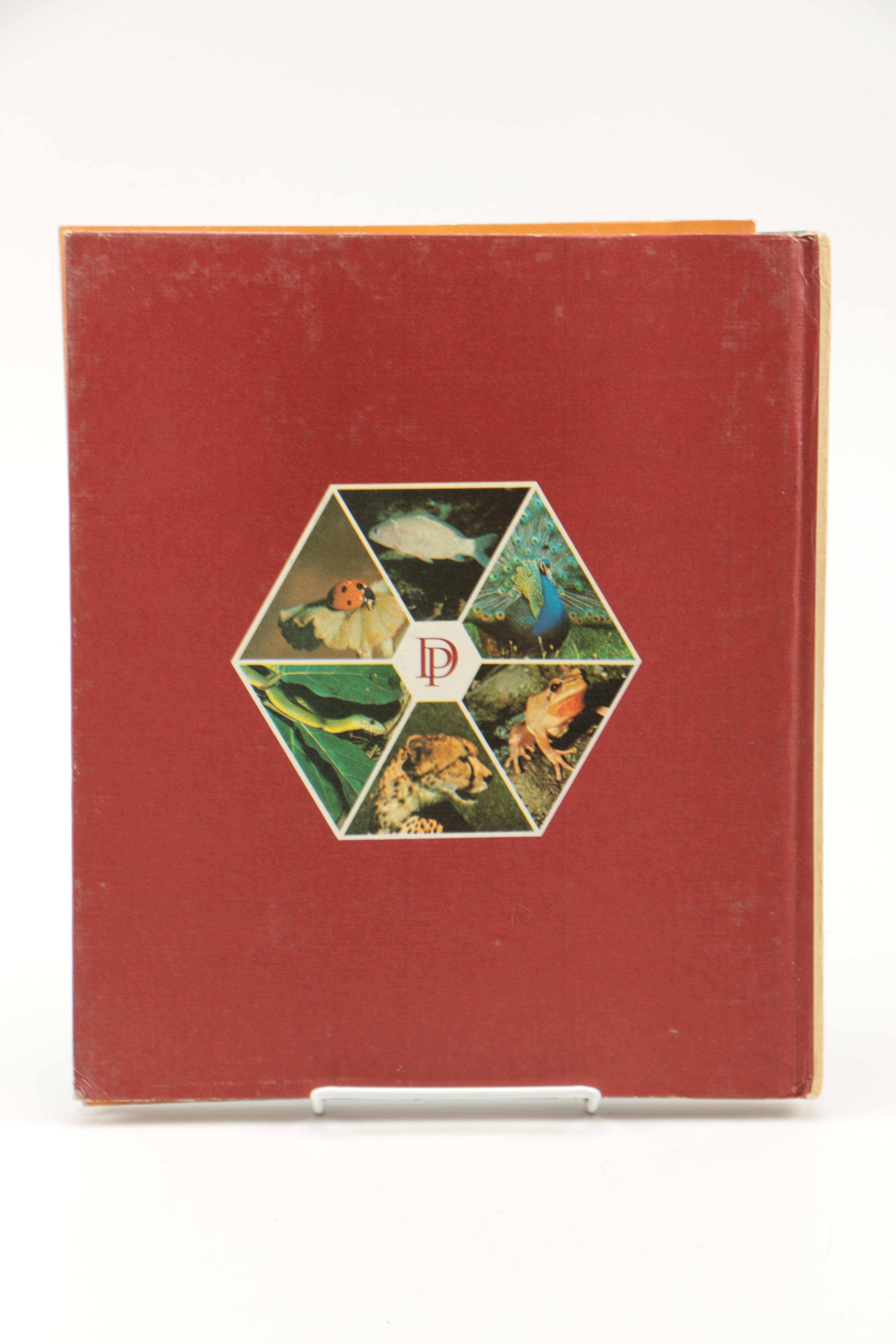 Collection of "The Illustrated Encyclopedia of the Animal Kingdom" Books