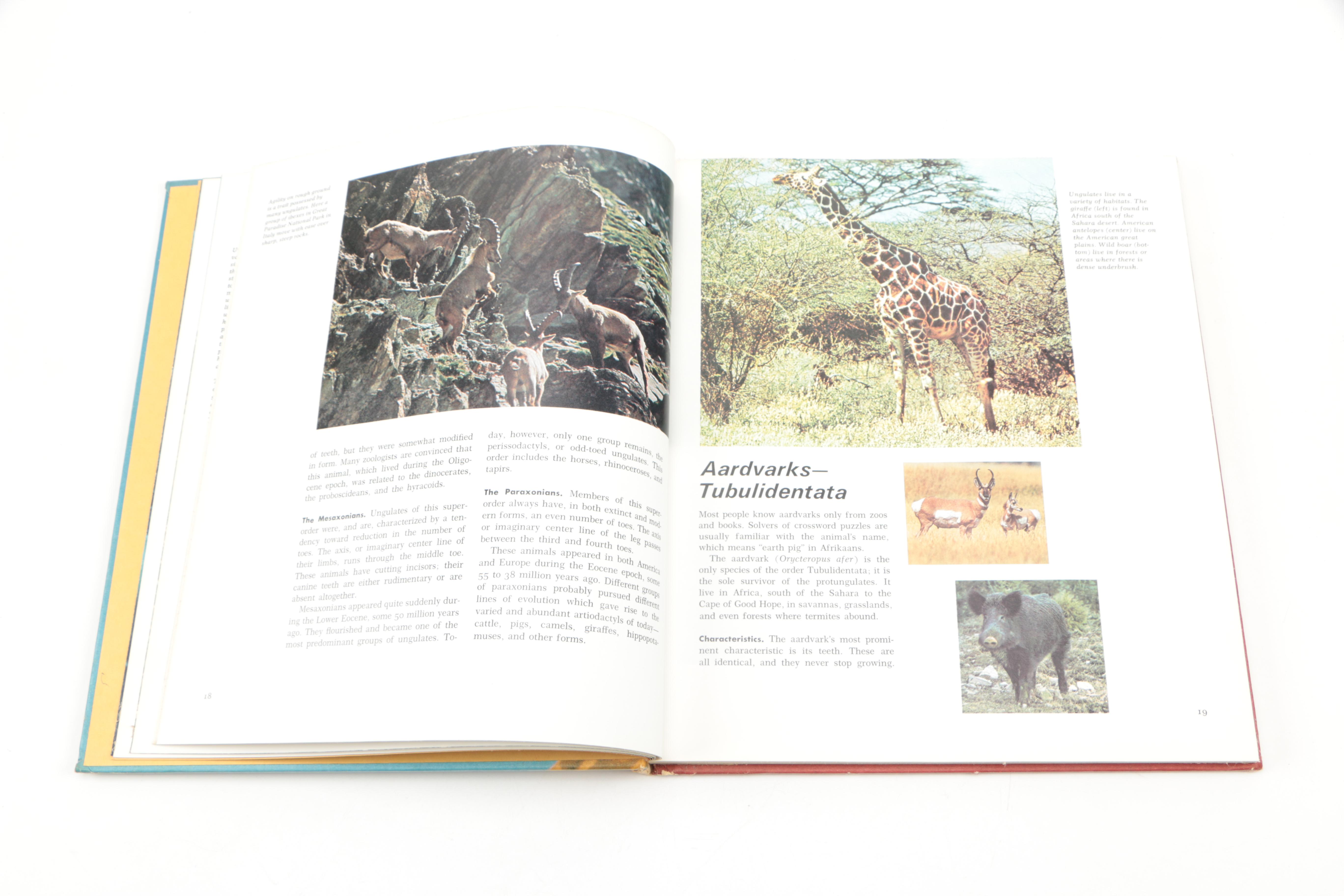 Collection of "The Illustrated Encyclopedia of the Animal Kingdom" Books