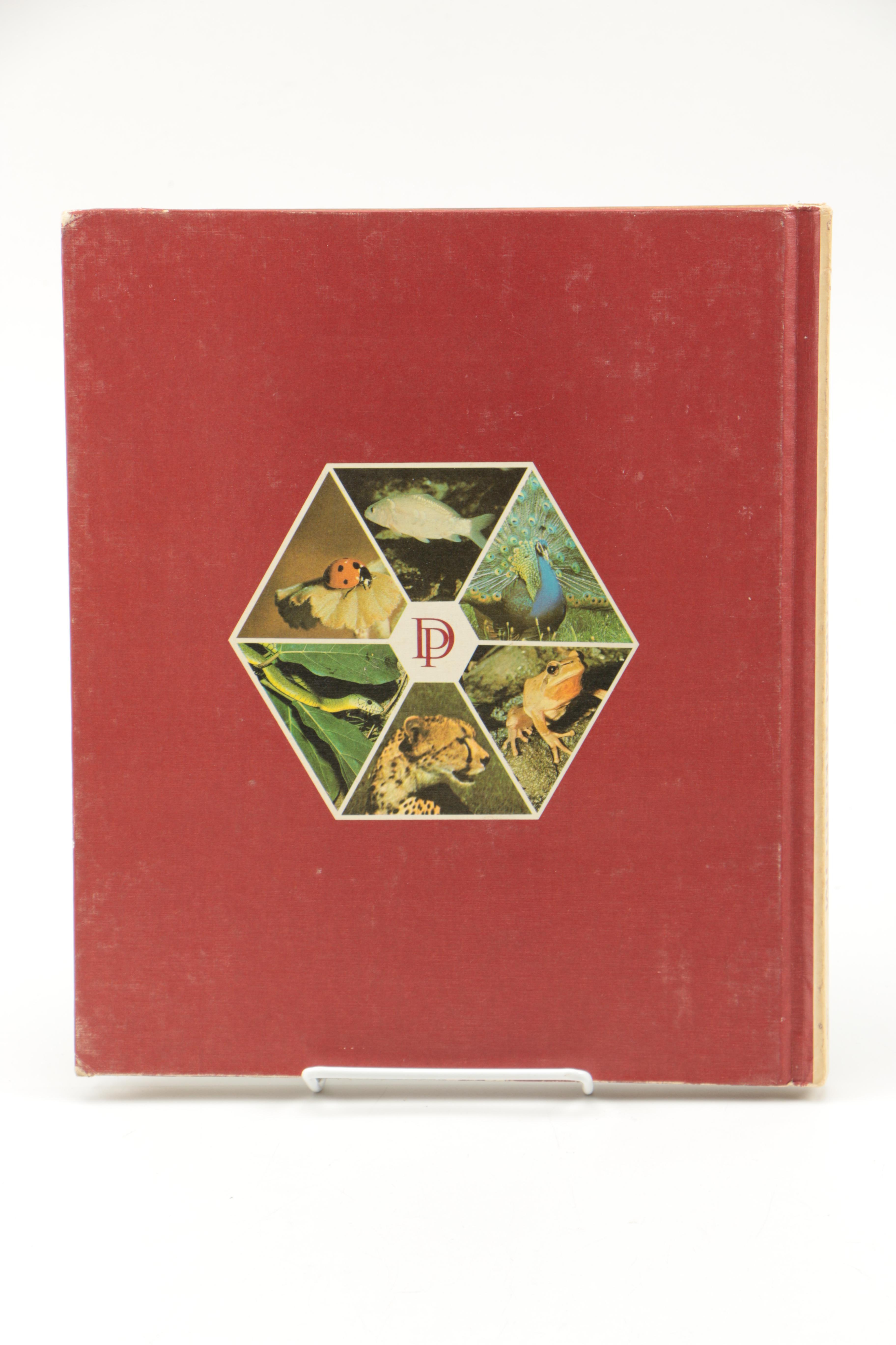Collection of "The Illustrated Encyclopedia of the Animal Kingdom" Books
