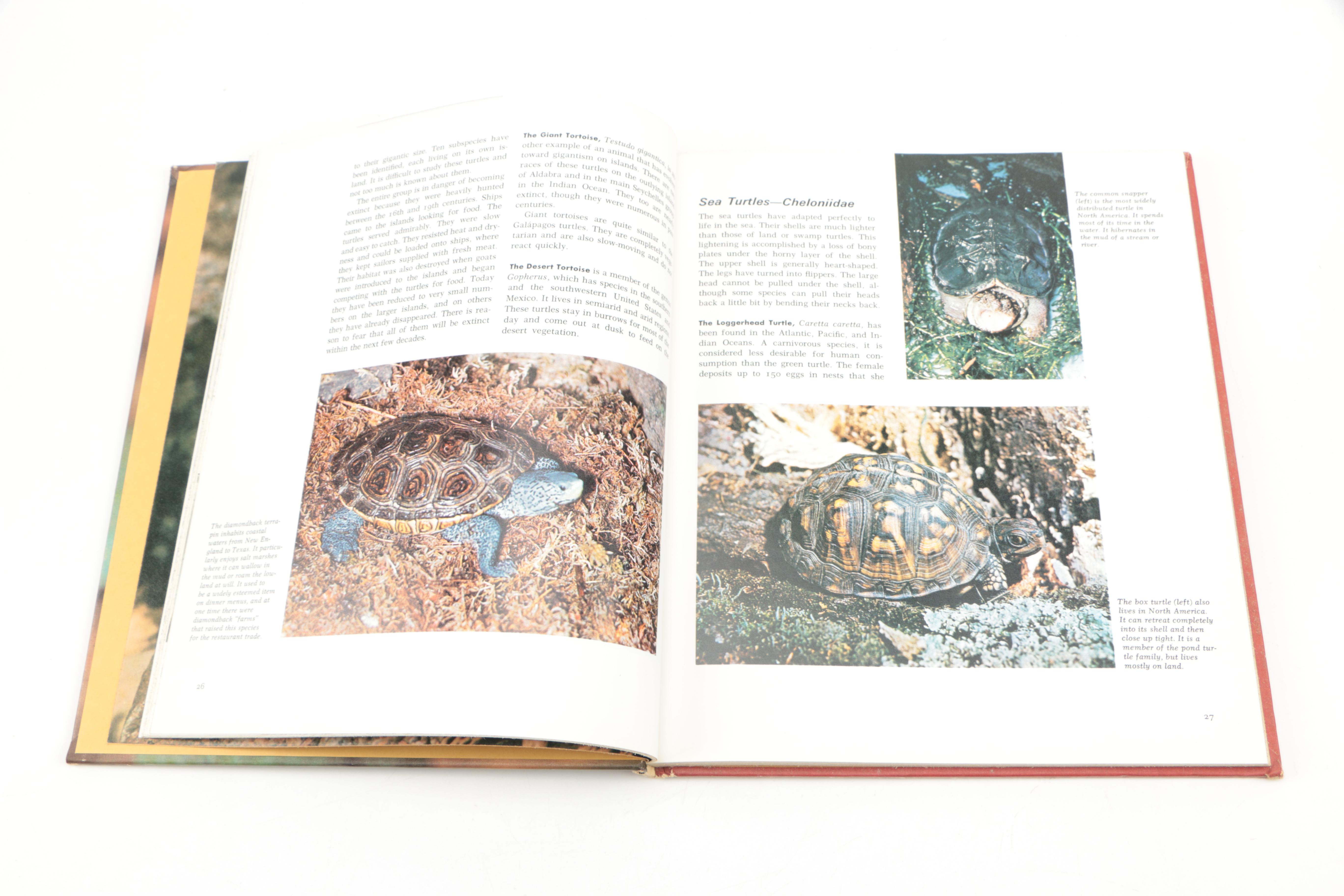 Collection of "The Illustrated Encyclopedia of the Animal Kingdom" Books