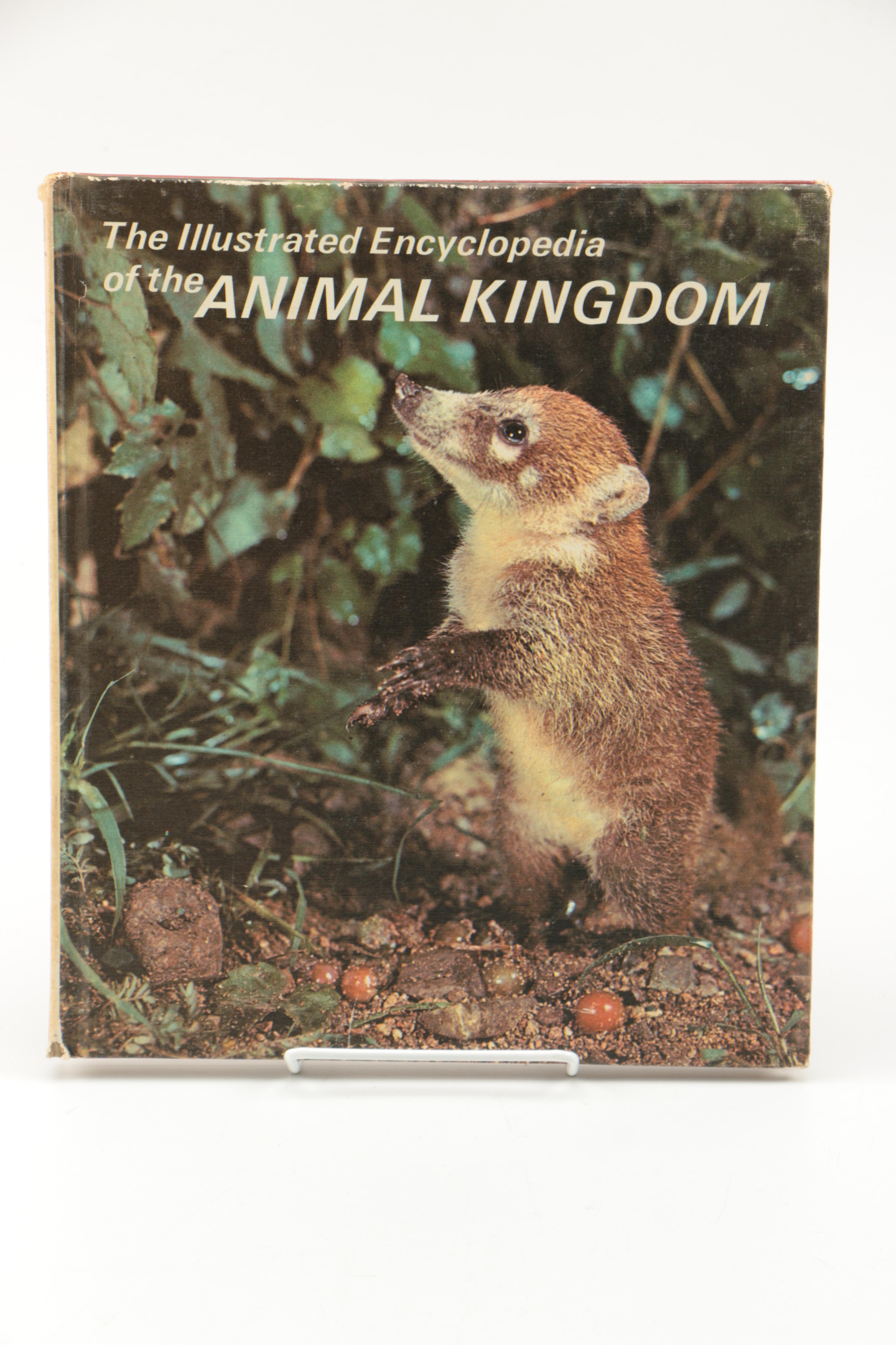 Collection of "The Illustrated Encyclopedia of the Animal Kingdom" Books