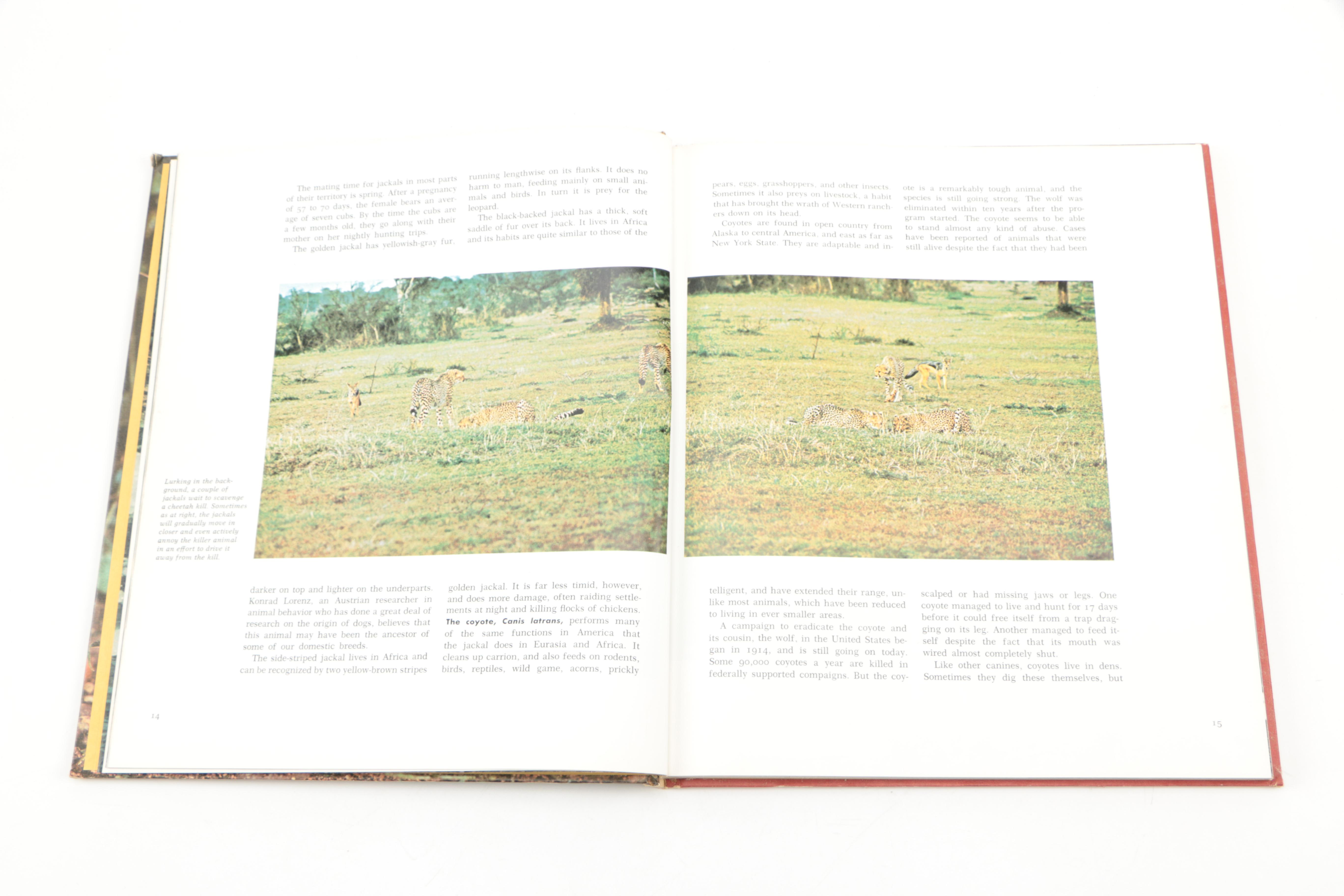 Collection of "The Illustrated Encyclopedia of the Animal Kingdom" Books