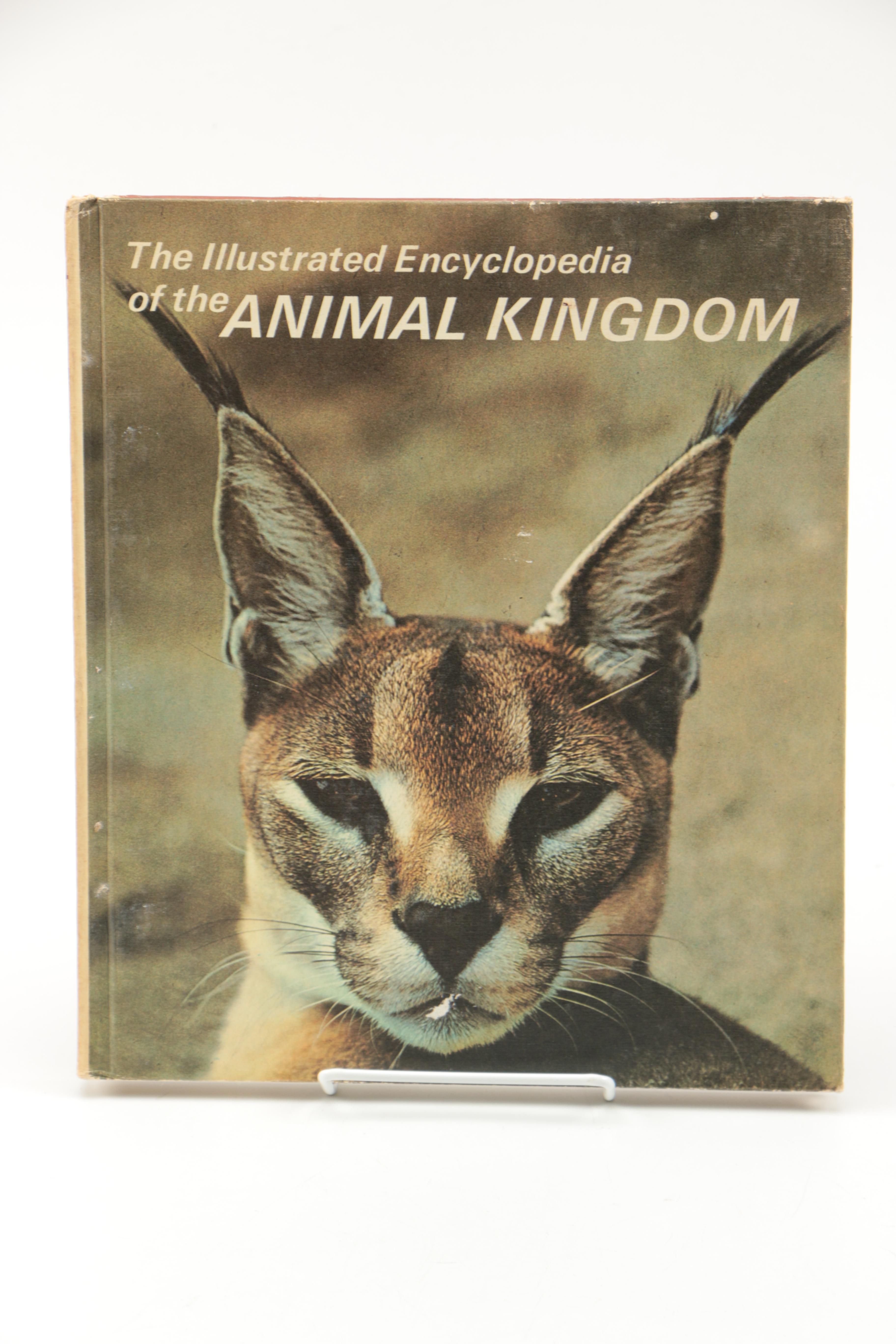 Collection of "The Illustrated Encyclopedia of the Animal Kingdom" Books