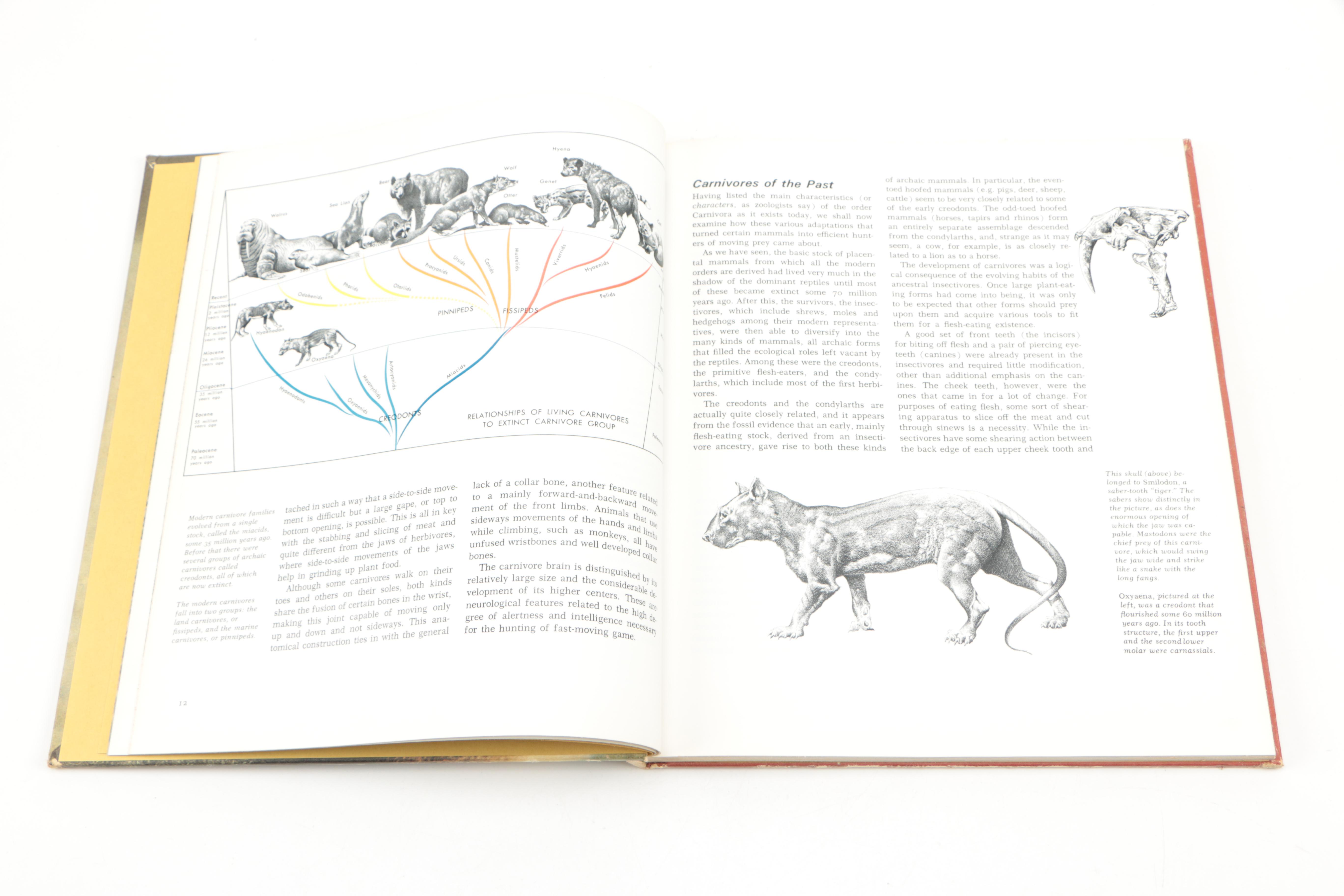 Collection of "The Illustrated Encyclopedia of the Animal Kingdom" Books
