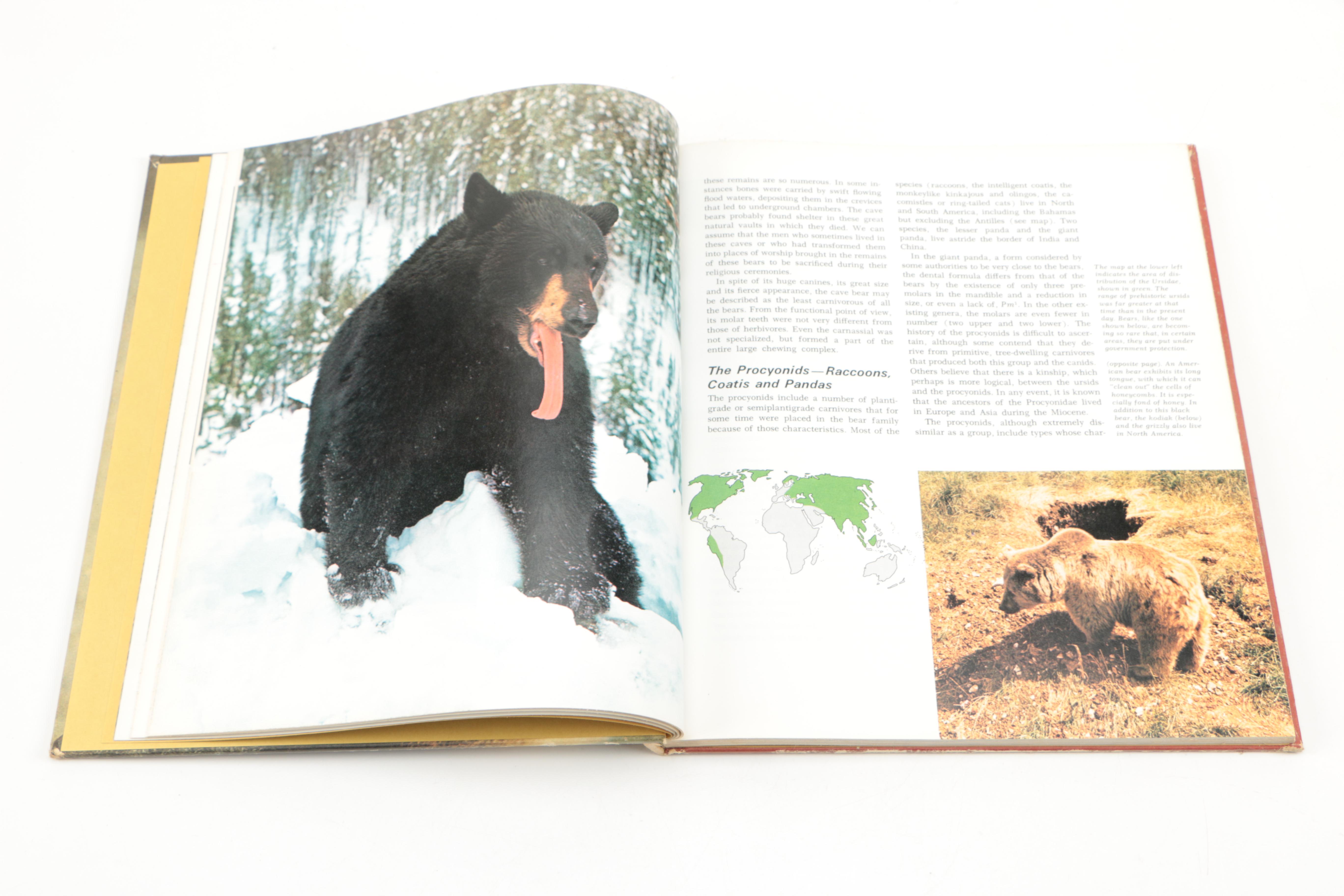 Collection of "The Illustrated Encyclopedia of the Animal Kingdom" Books