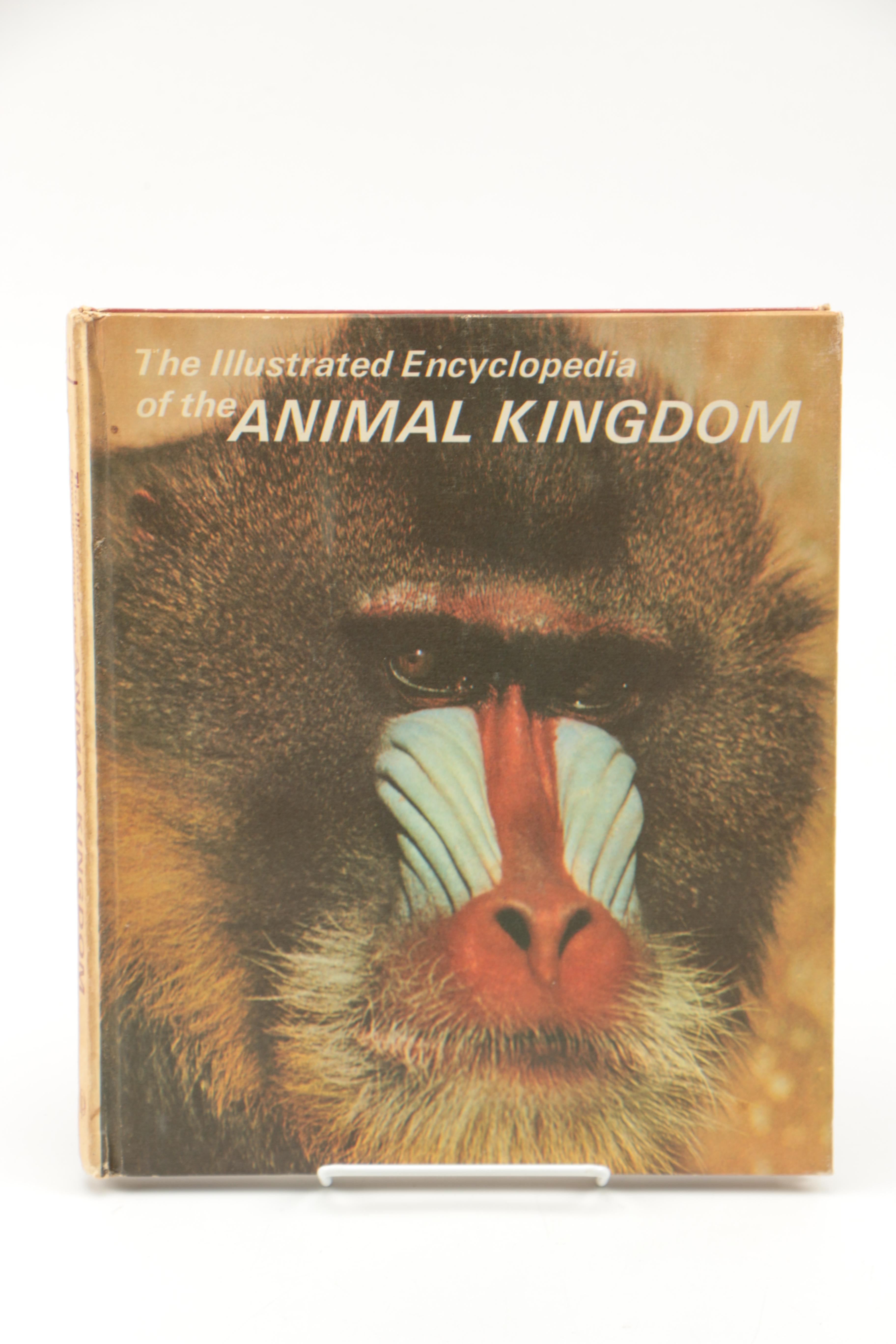 Collection of "The Illustrated Encyclopedia of the Animal Kingdom" Books