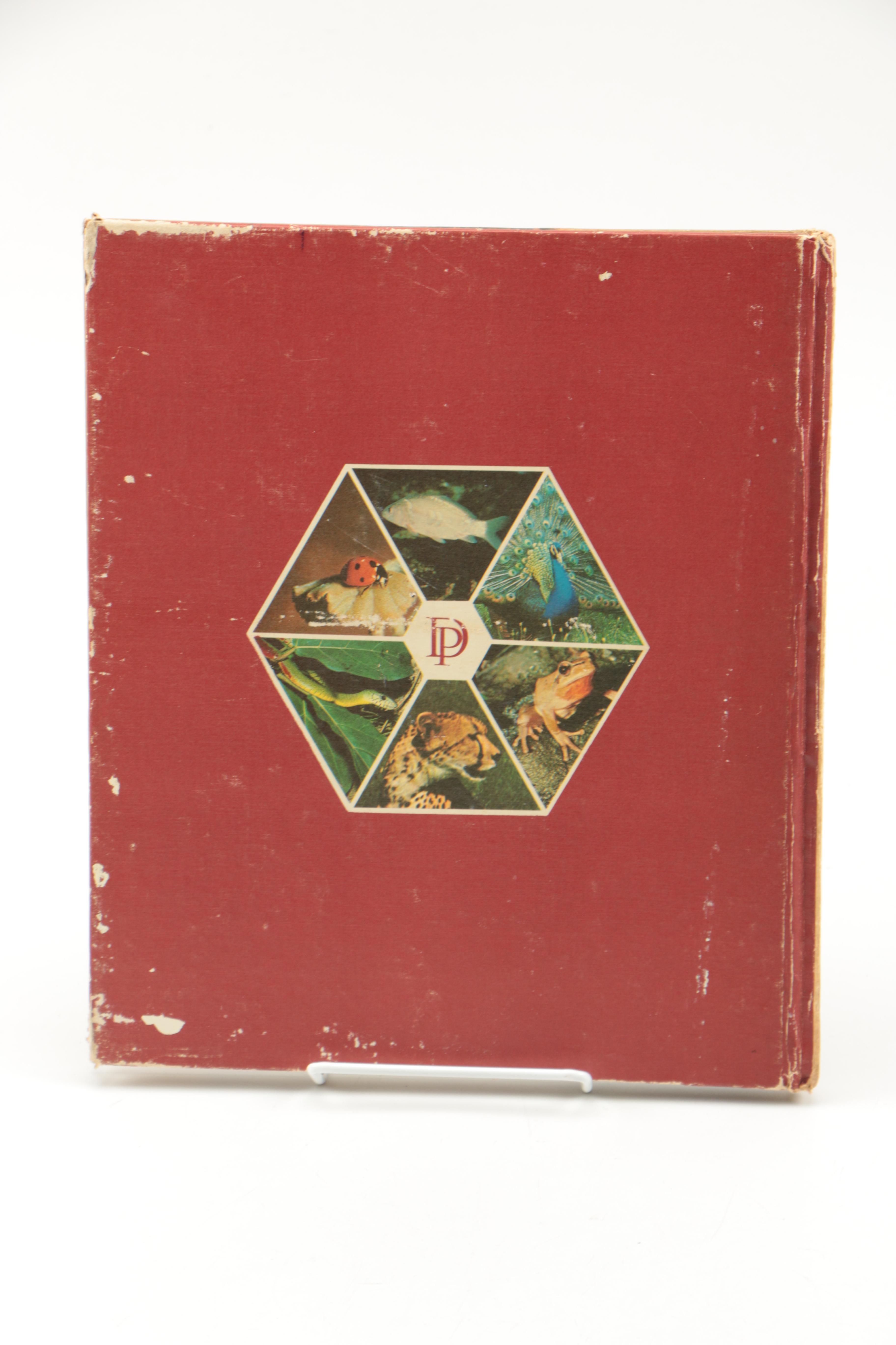 Collection of "The Illustrated Encyclopedia of the Animal Kingdom" Books