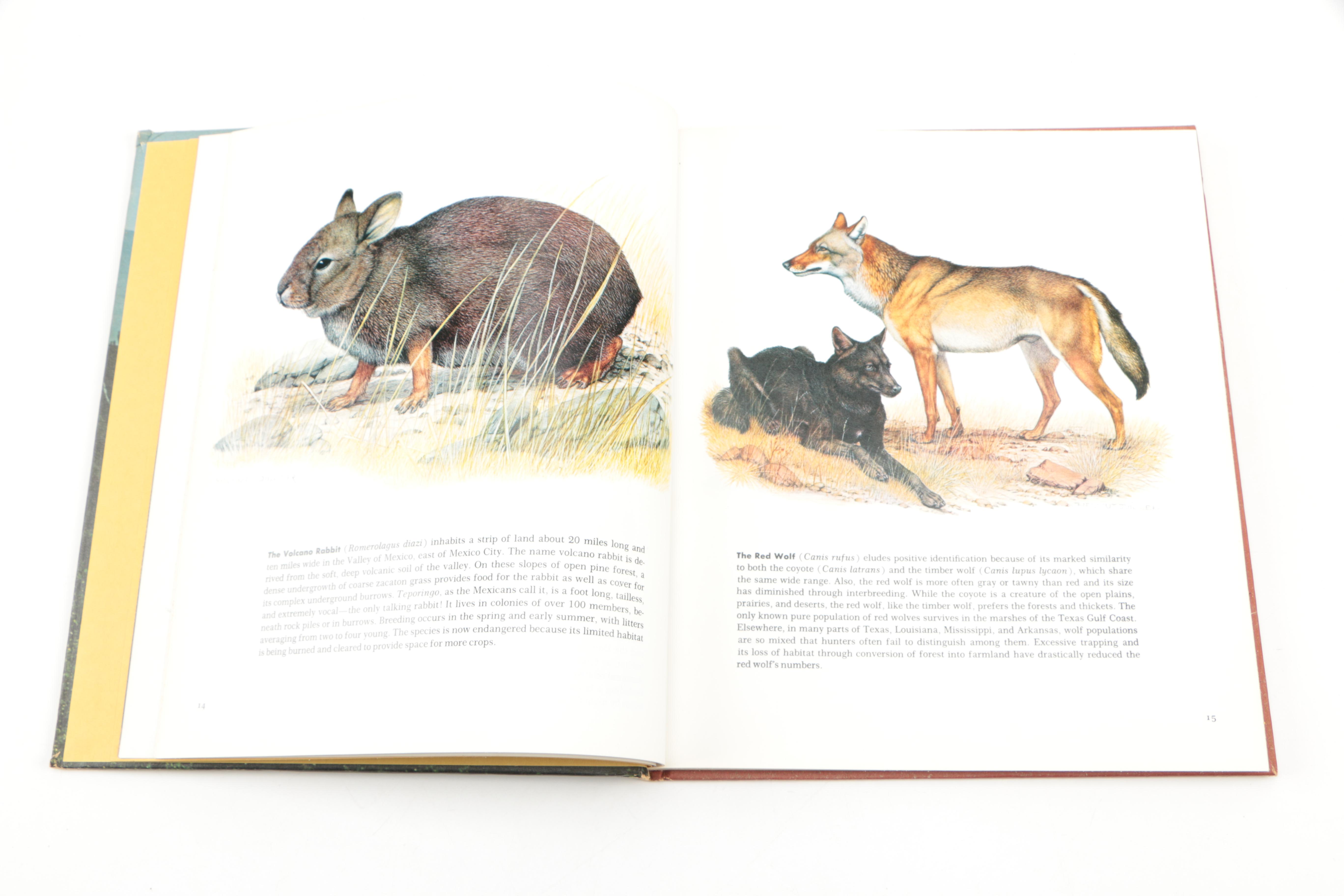 Collection of "The Illustrated Encyclopedia of the Animal Kingdom" Books