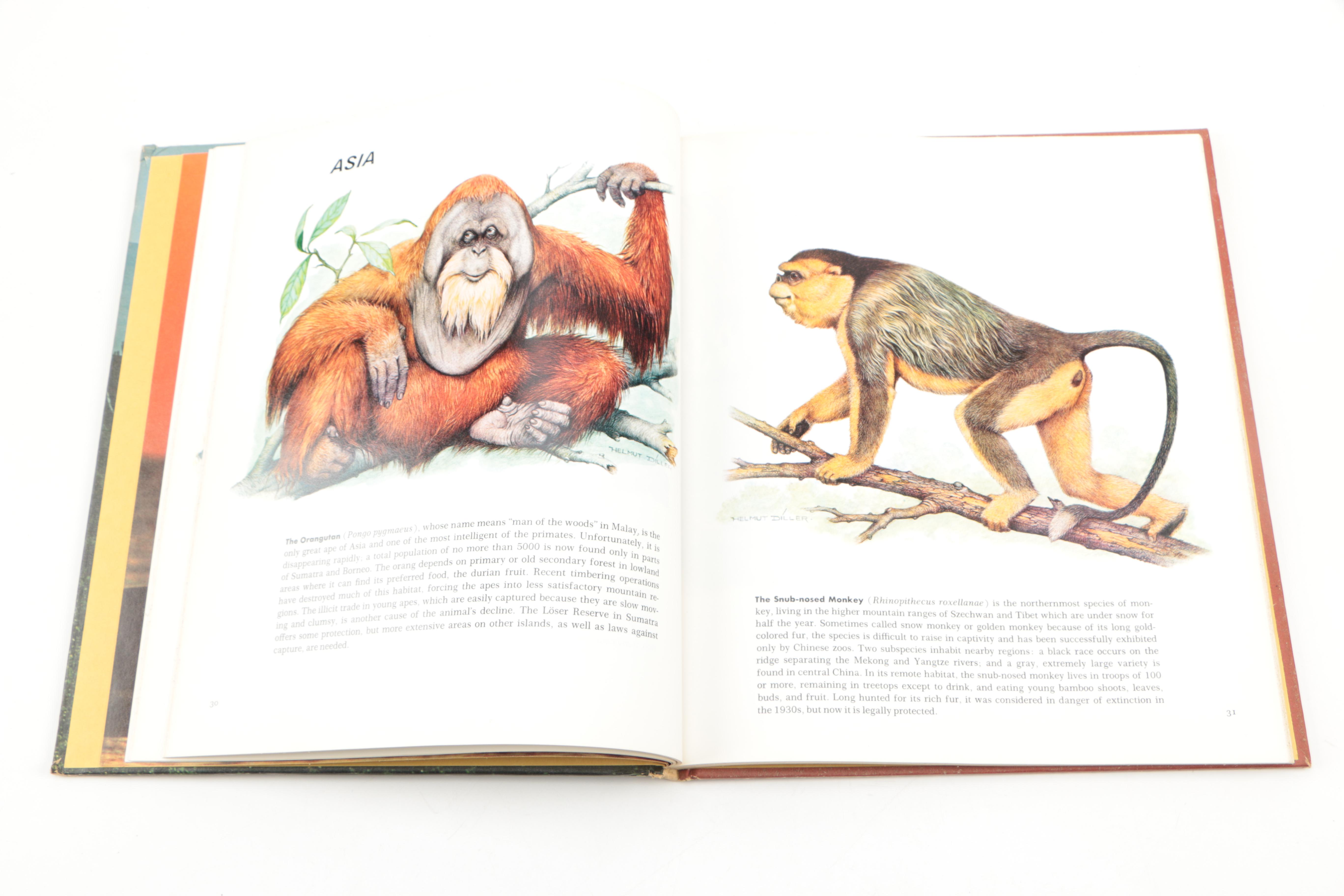 Collection of "The Illustrated Encyclopedia of the Animal Kingdom" Books