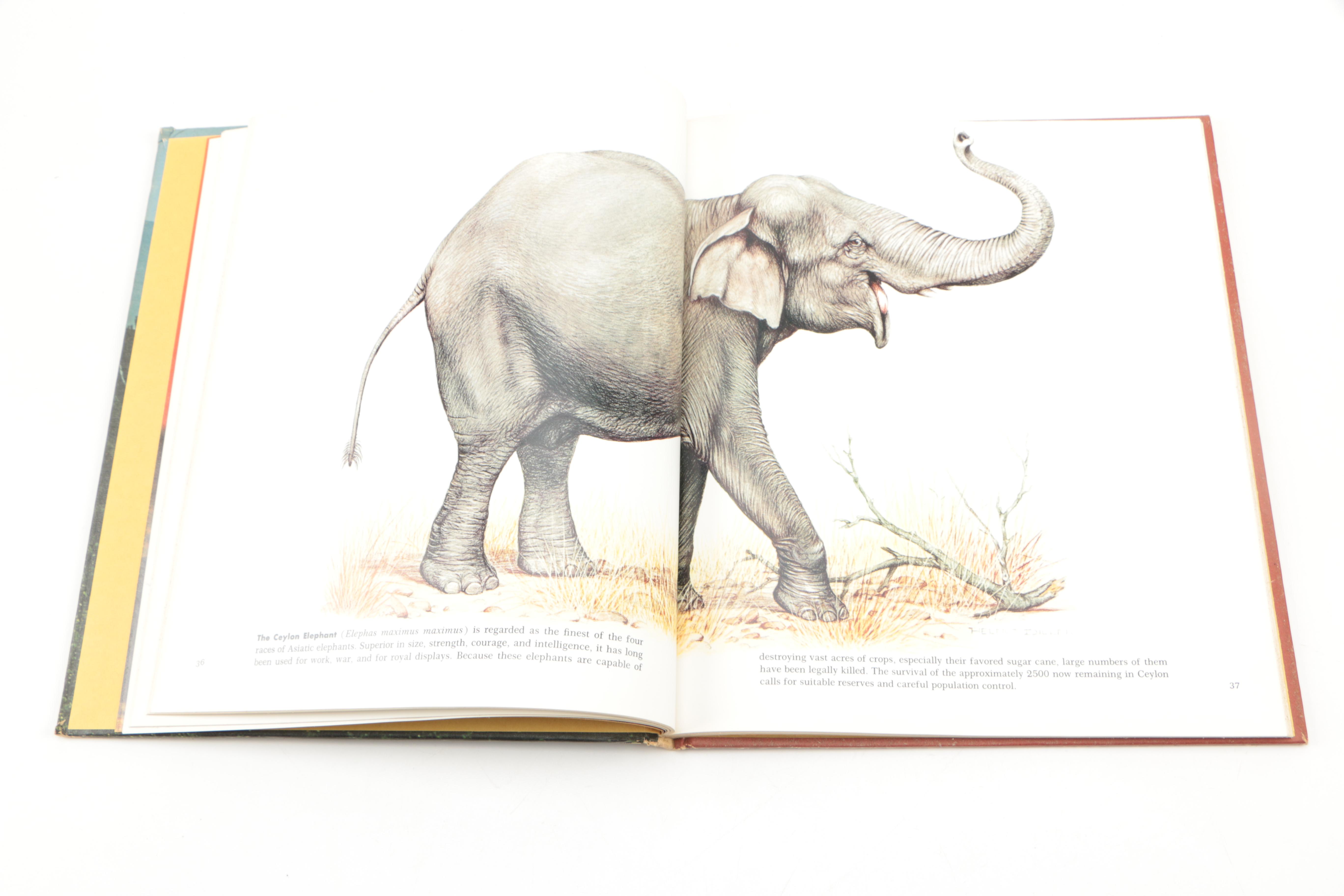 Collection of "The Illustrated Encyclopedia of the Animal Kingdom" Books