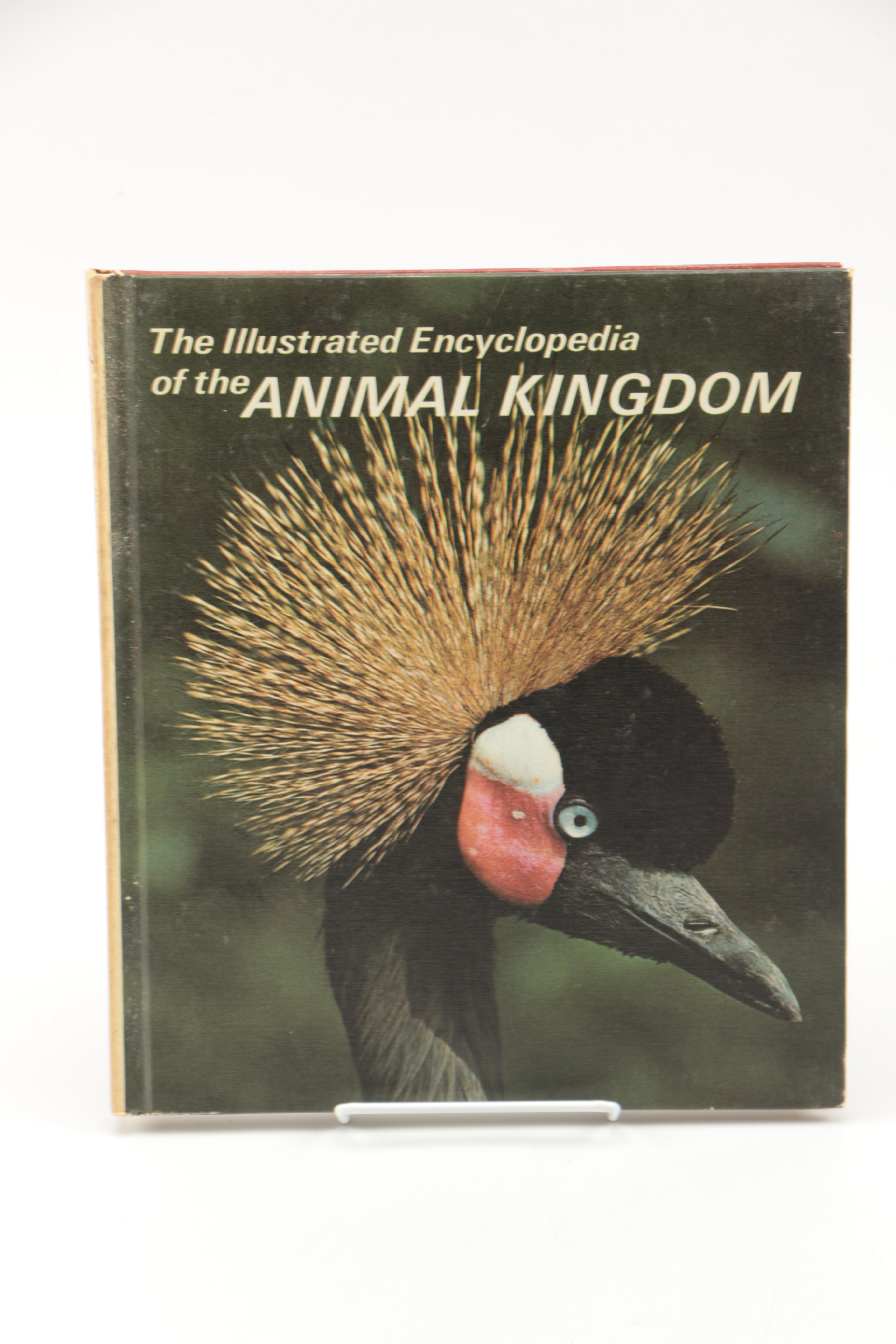 Collection of "The Illustrated Encyclopedia of the Animal Kingdom" Books