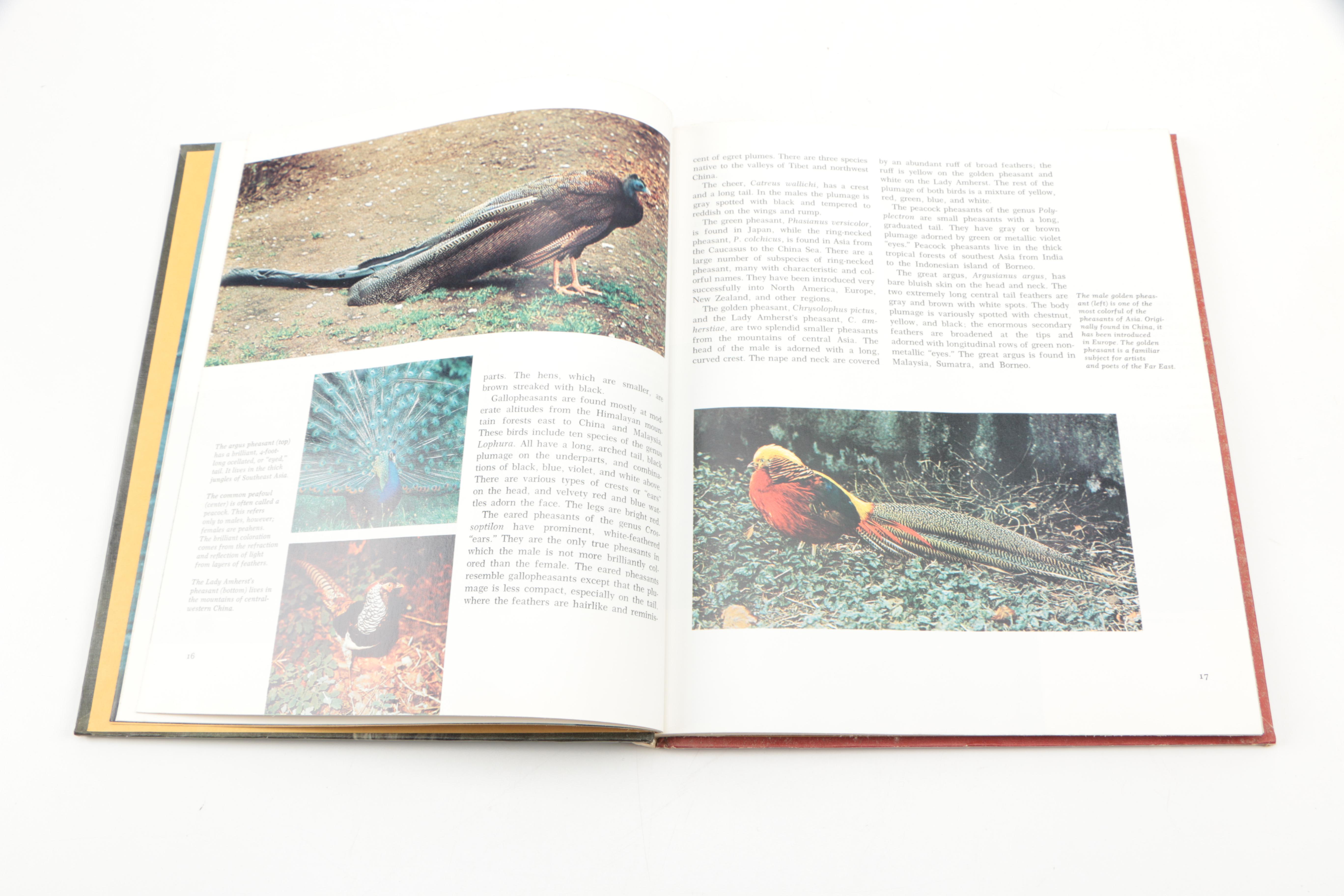 Collection of "The Illustrated Encyclopedia of the Animal Kingdom" Books