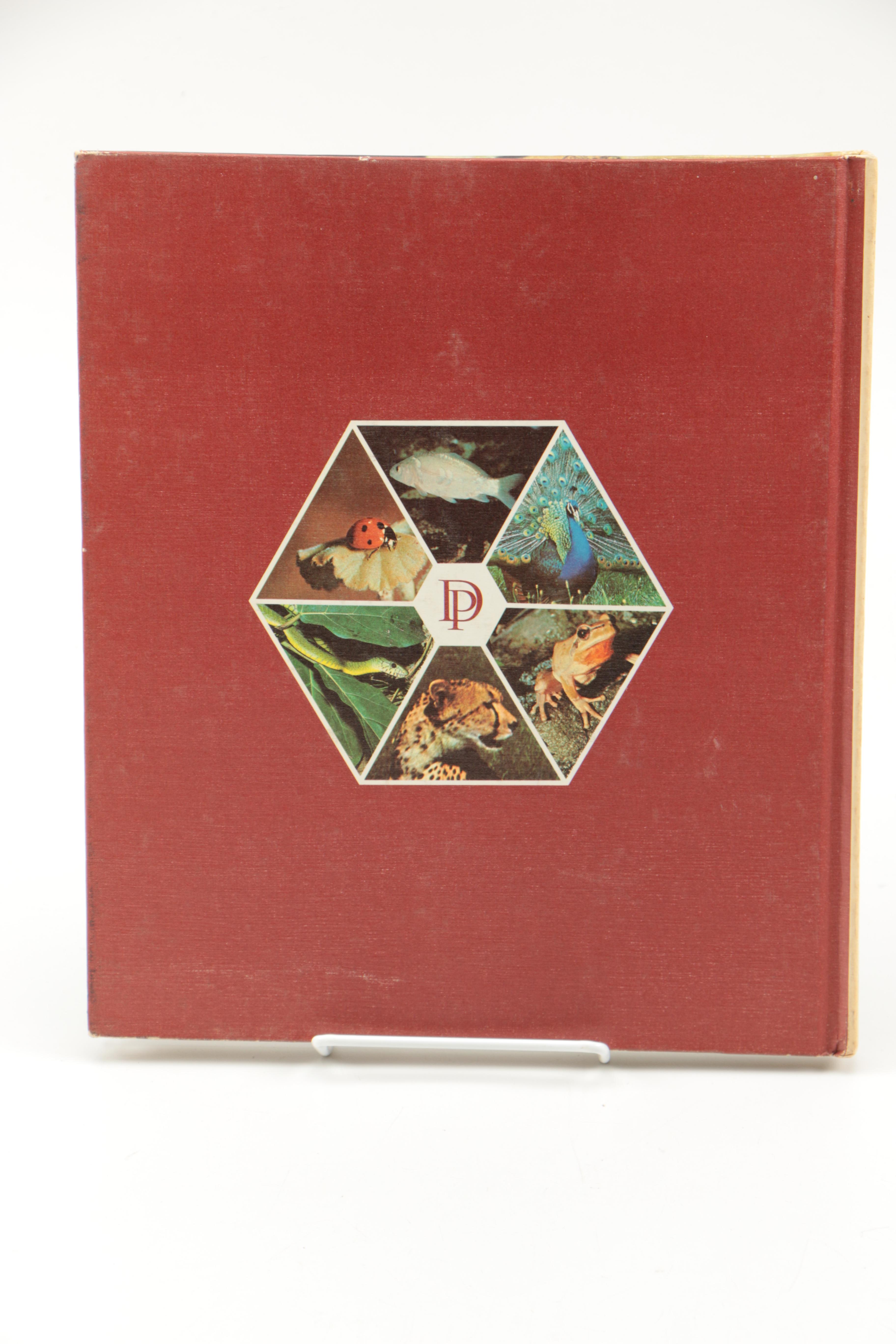 Collection of "The Illustrated Encyclopedia of the Animal Kingdom" Books