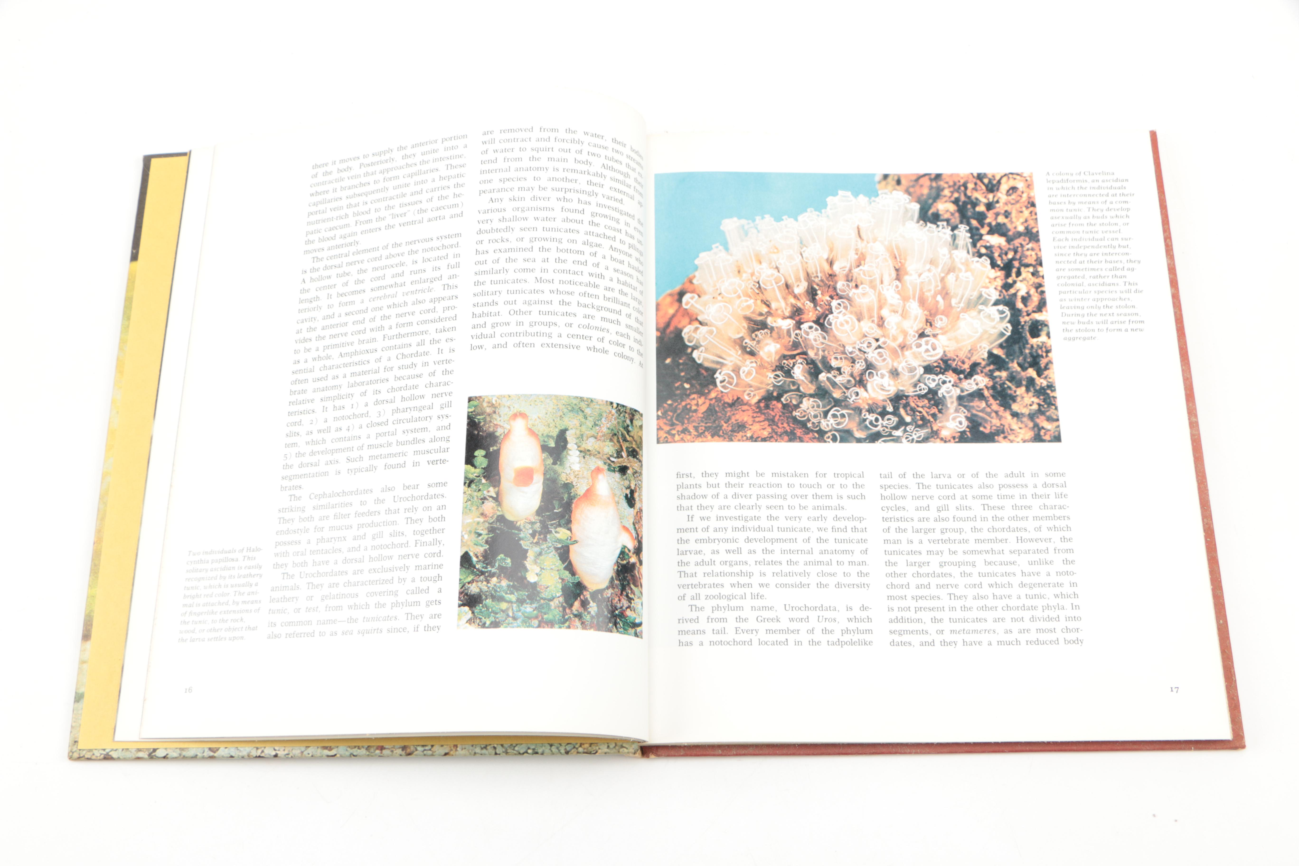 Collection of "The Illustrated Encyclopedia of the Animal Kingdom" Books