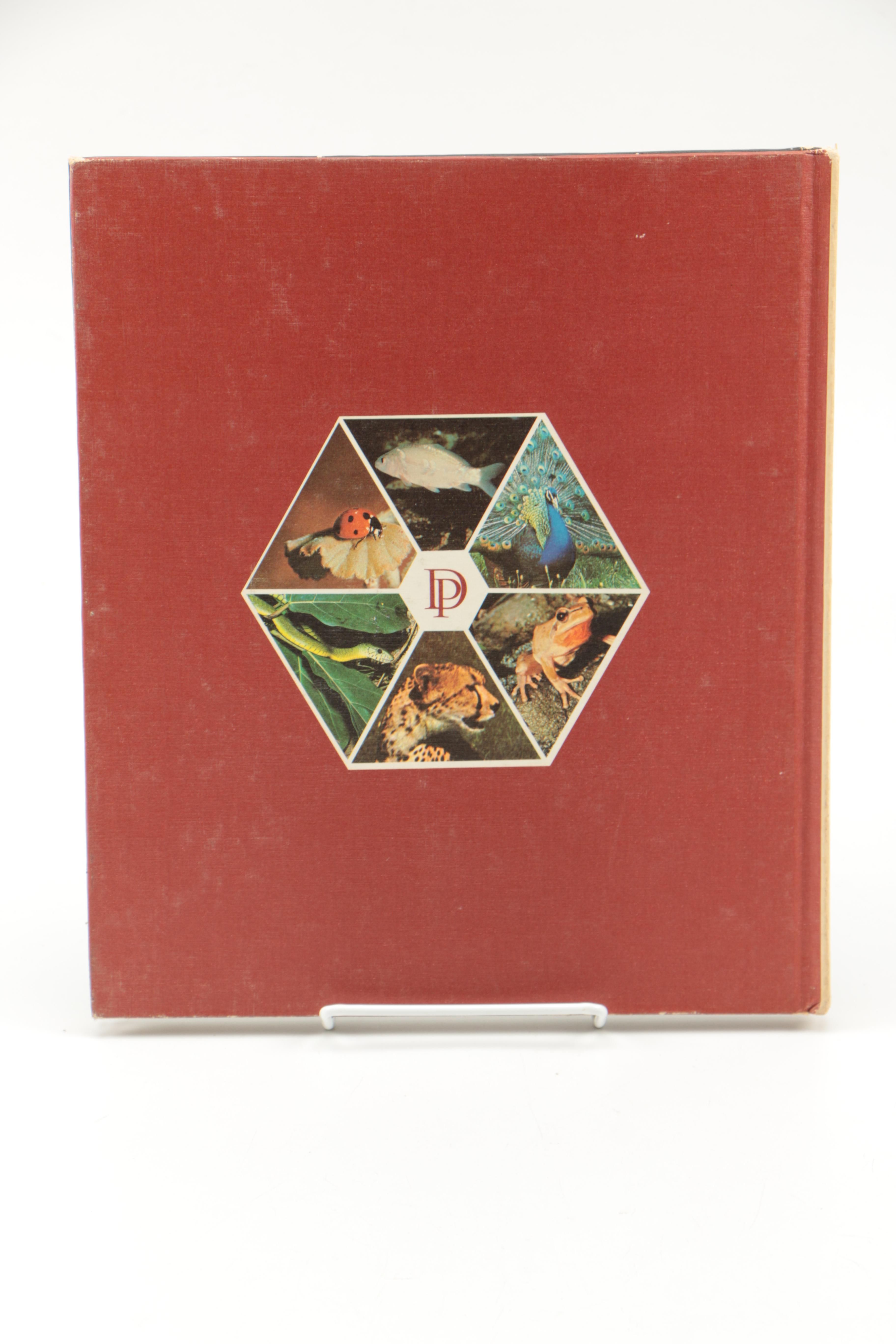 Collection of "The Illustrated Encyclopedia of the Animal Kingdom" Books