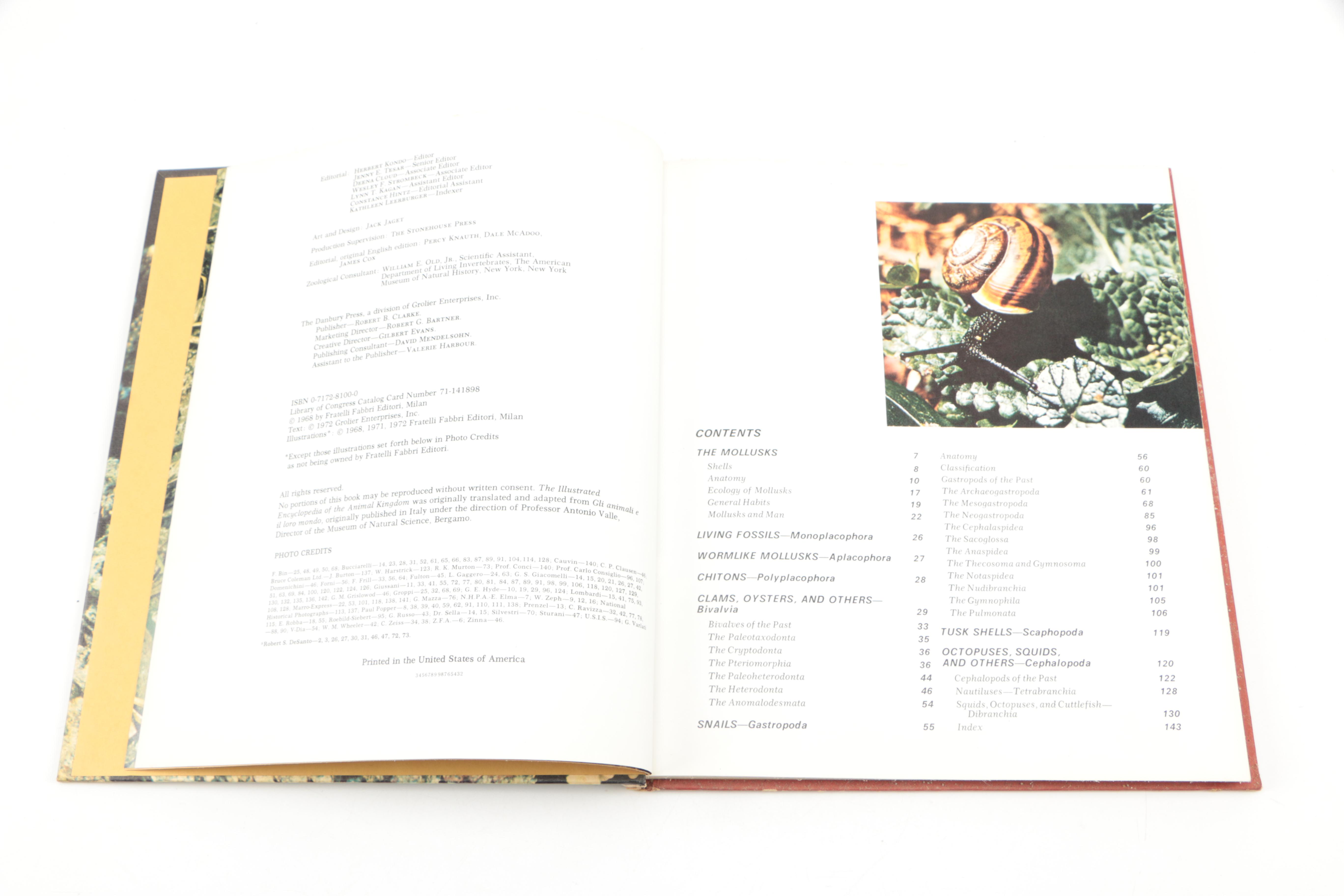 Collection of "The Illustrated Encyclopedia of the Animal Kingdom" Books