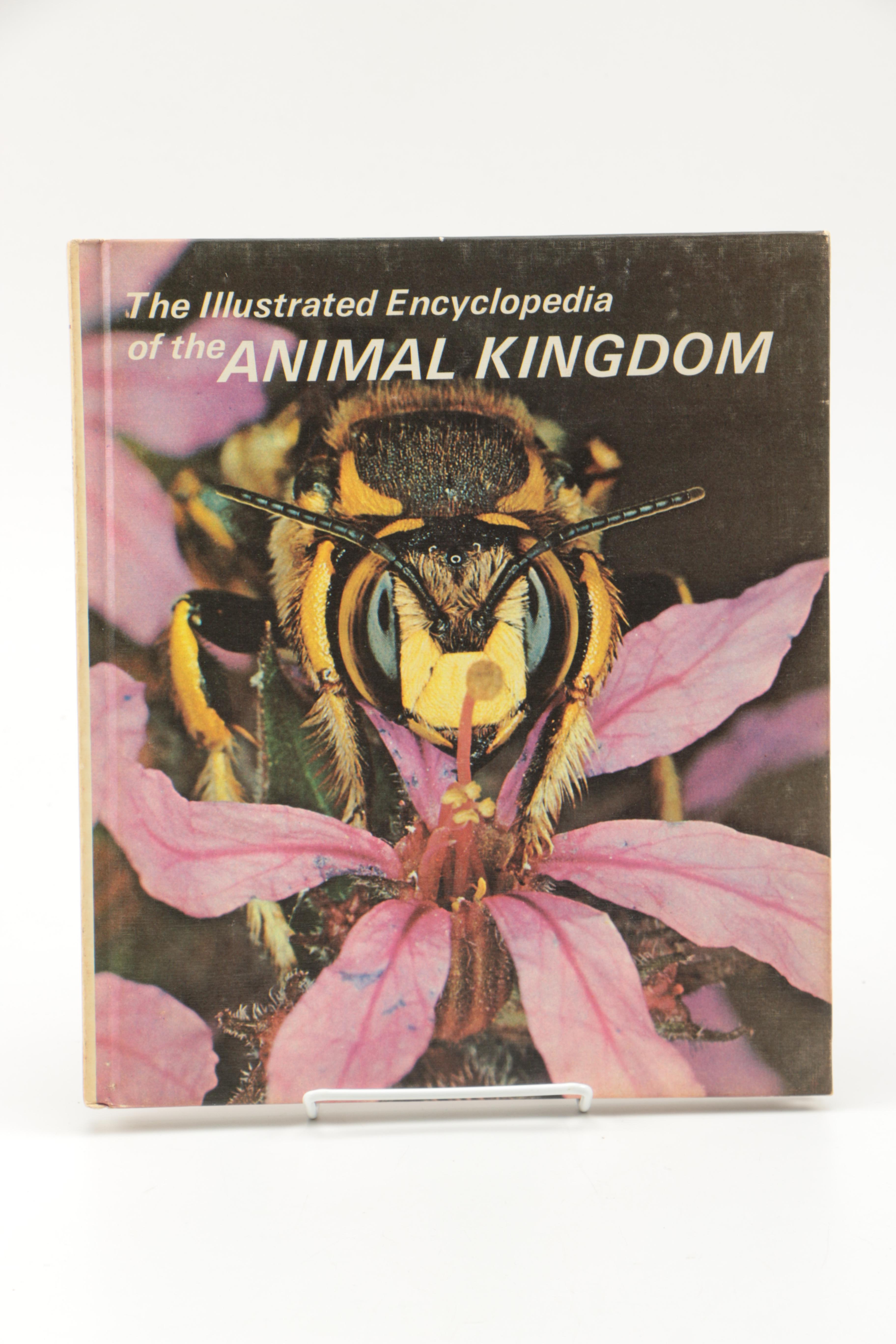 Collection of "The Illustrated Encyclopedia of the Animal Kingdom" Books