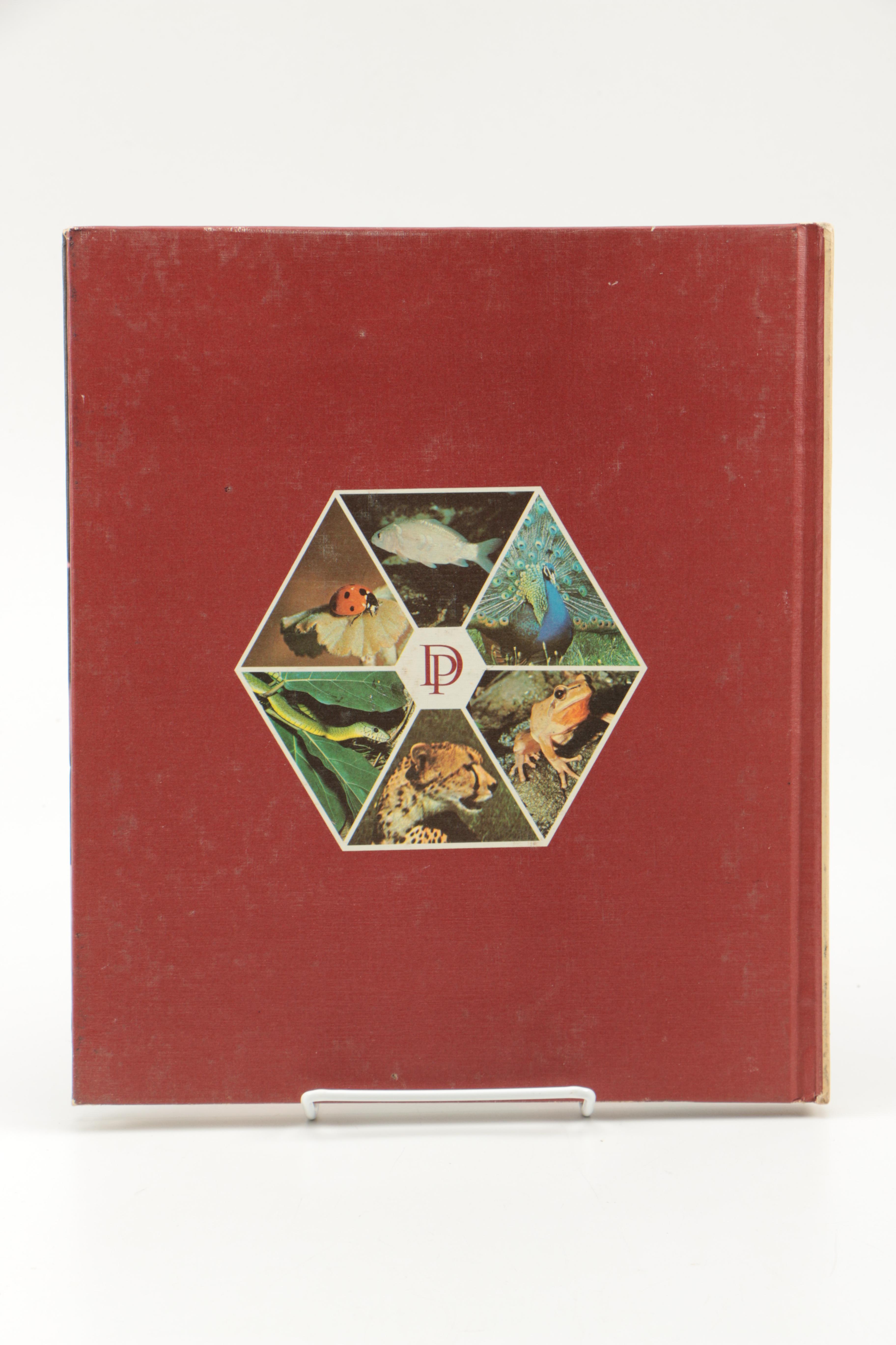Collection of "The Illustrated Encyclopedia of the Animal Kingdom" Books