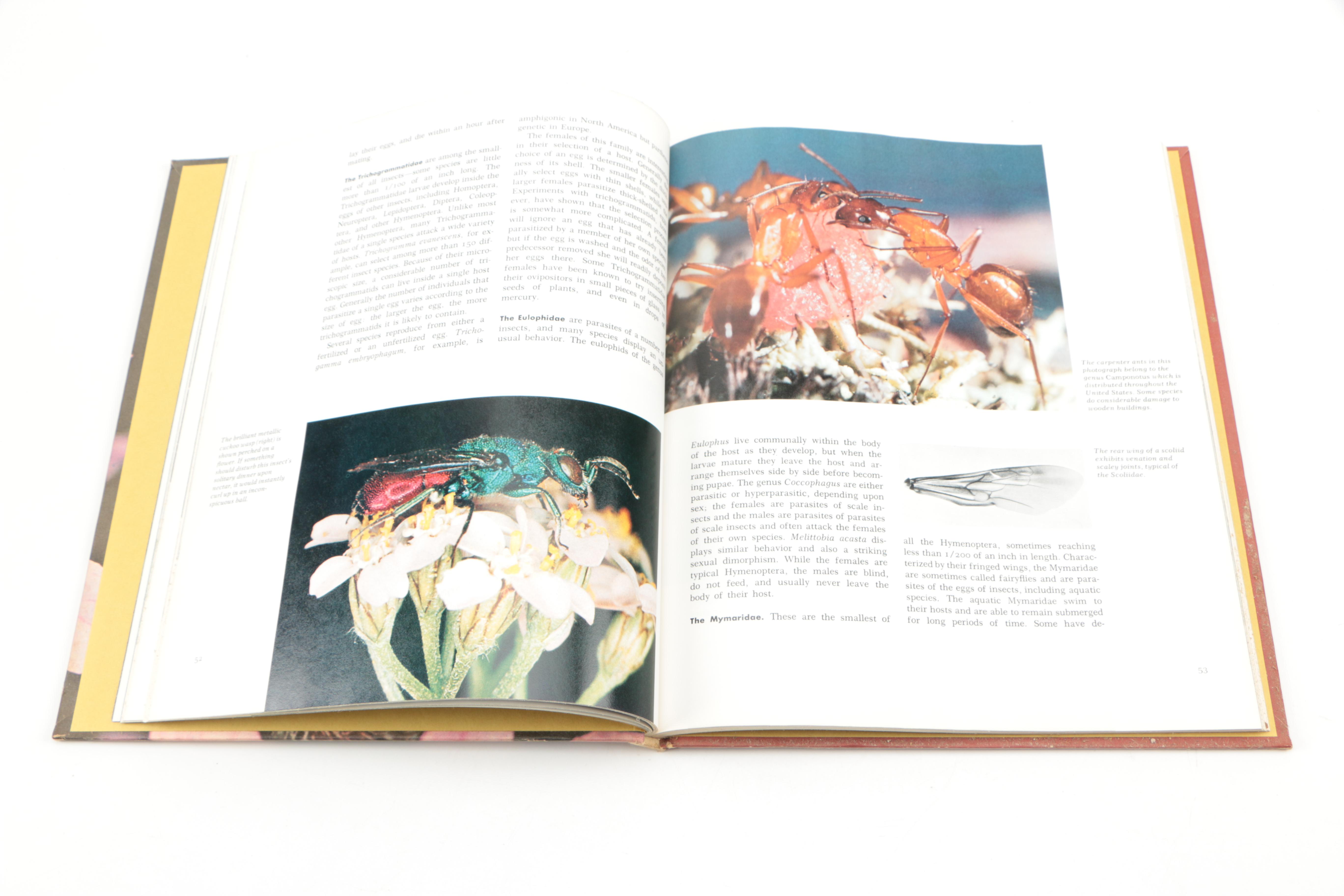 Collection of "The Illustrated Encyclopedia of the Animal Kingdom" Books