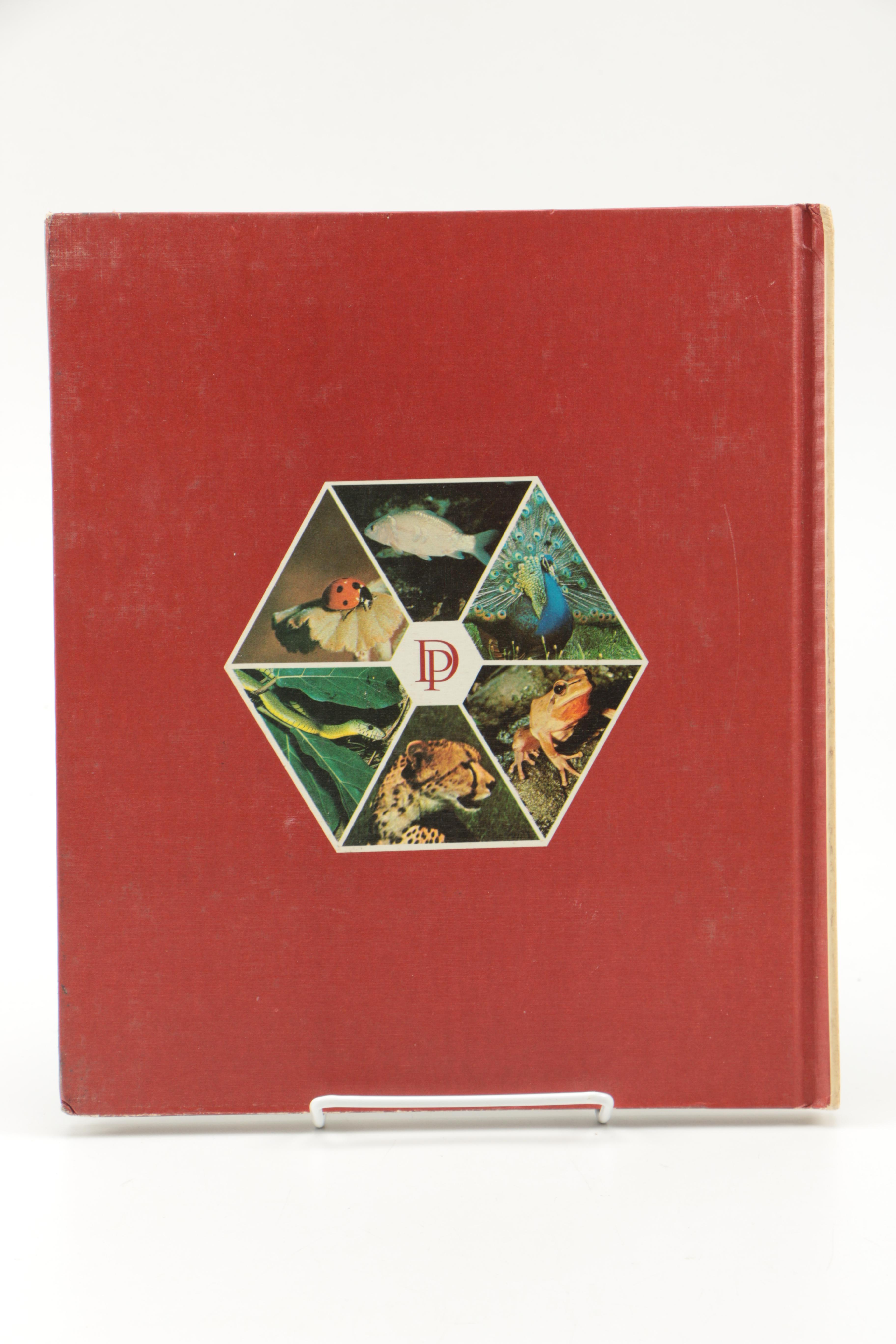 Collection of "The Illustrated Encyclopedia of the Animal Kingdom" Books