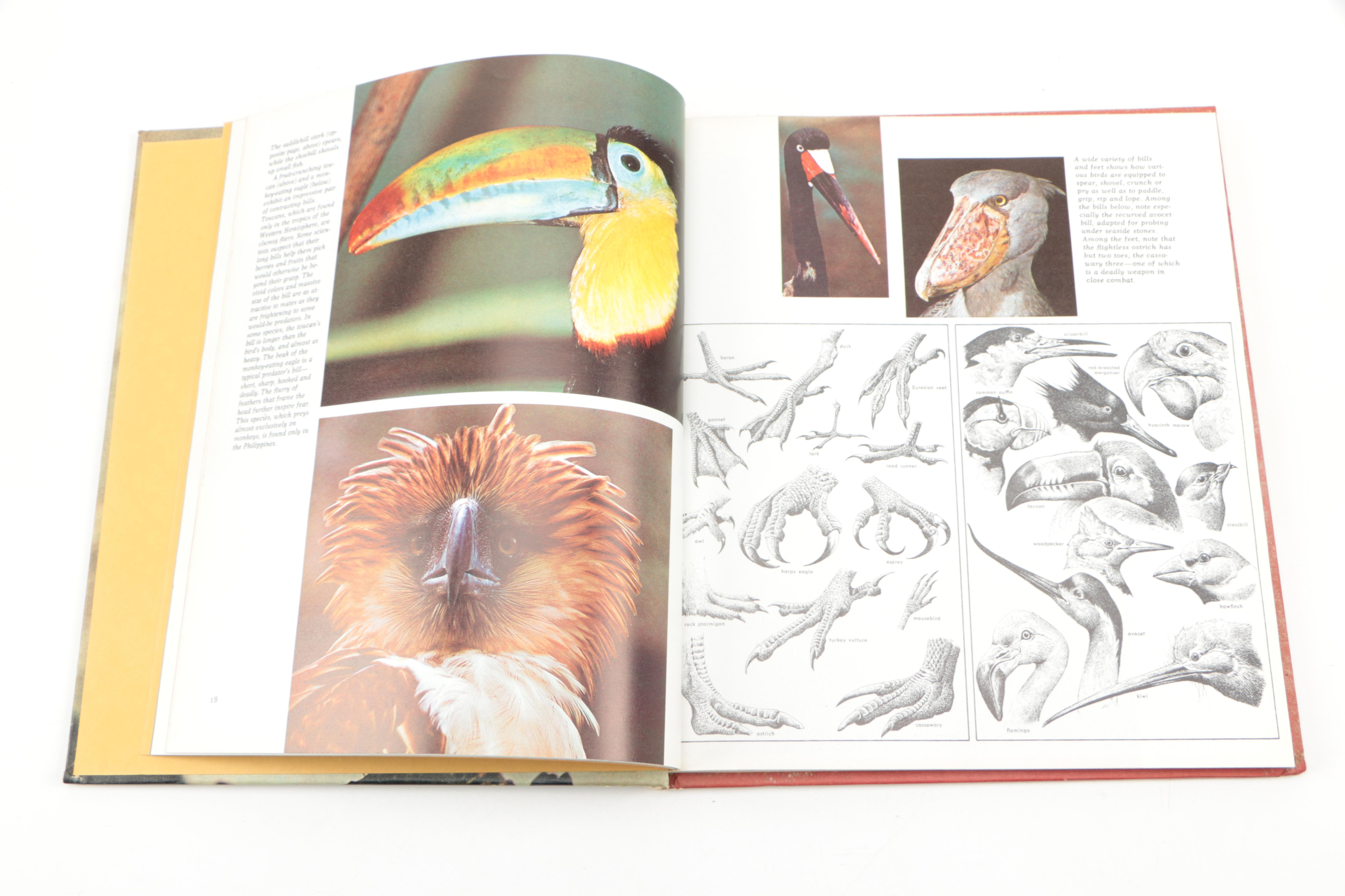Collection of "The Illustrated Encyclopedia of the Animal Kingdom" Books