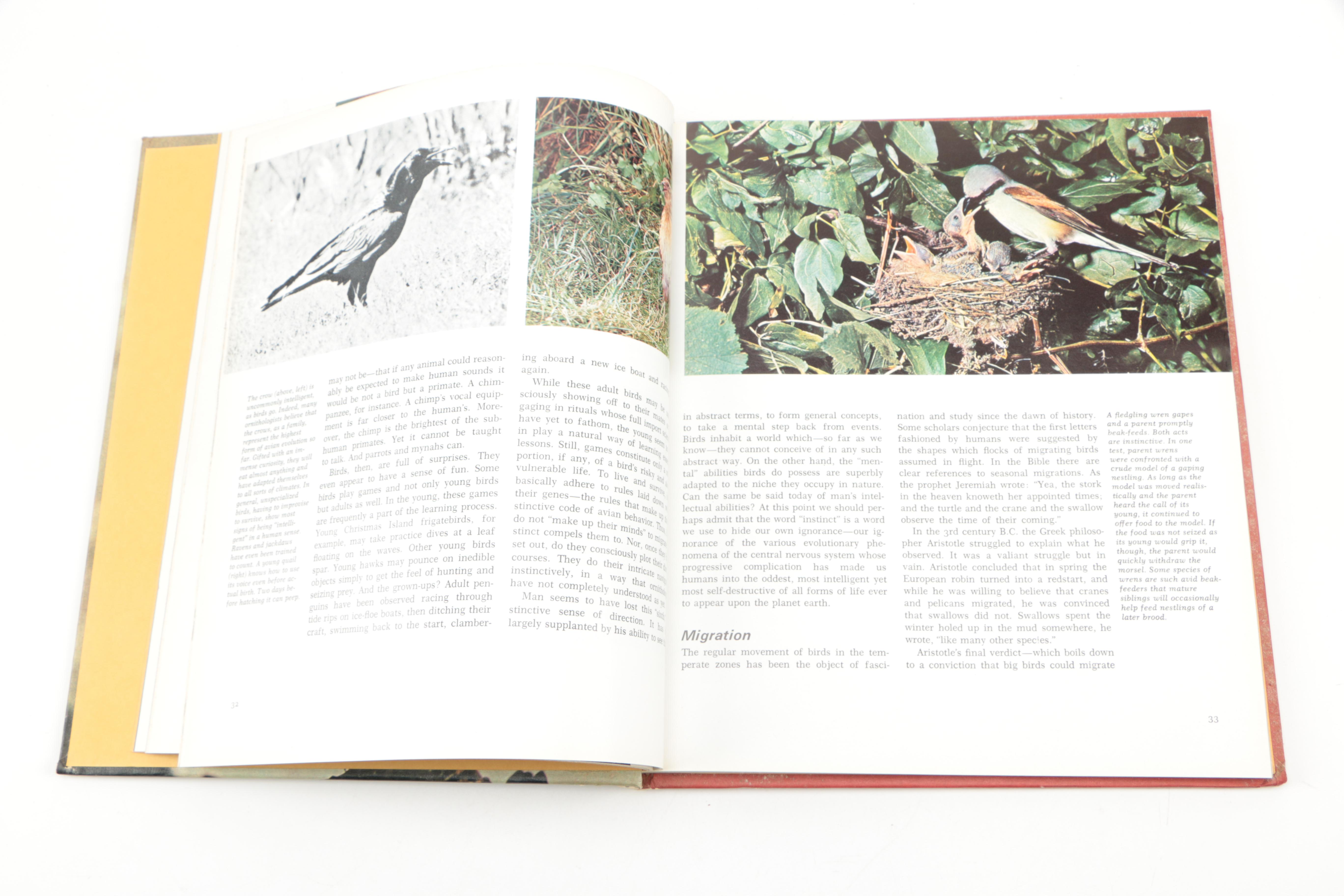 Collection of "The Illustrated Encyclopedia of the Animal Kingdom" Books
