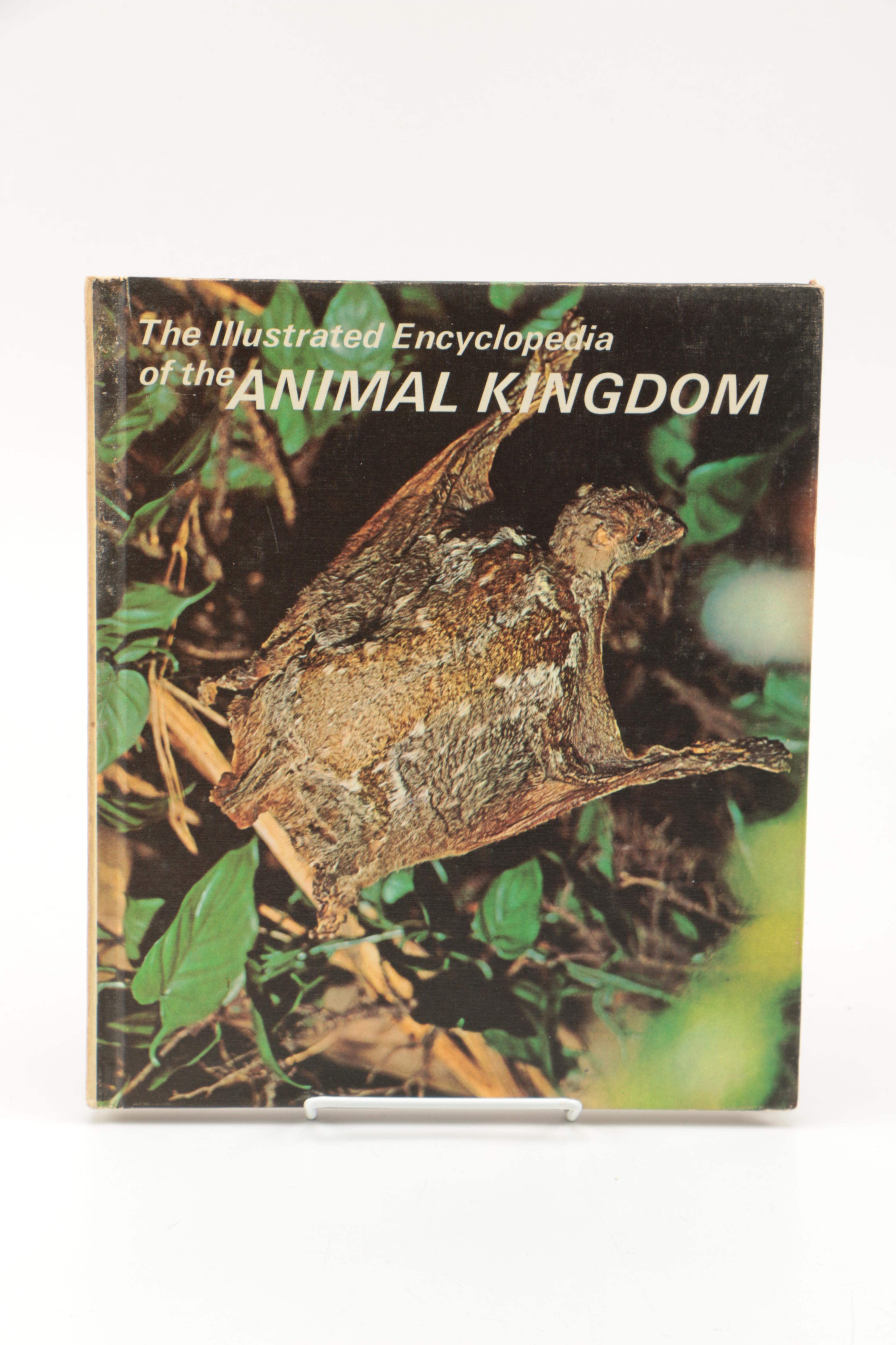 Collection of "The Illustrated Encyclopedia of the Animal Kingdom" Books