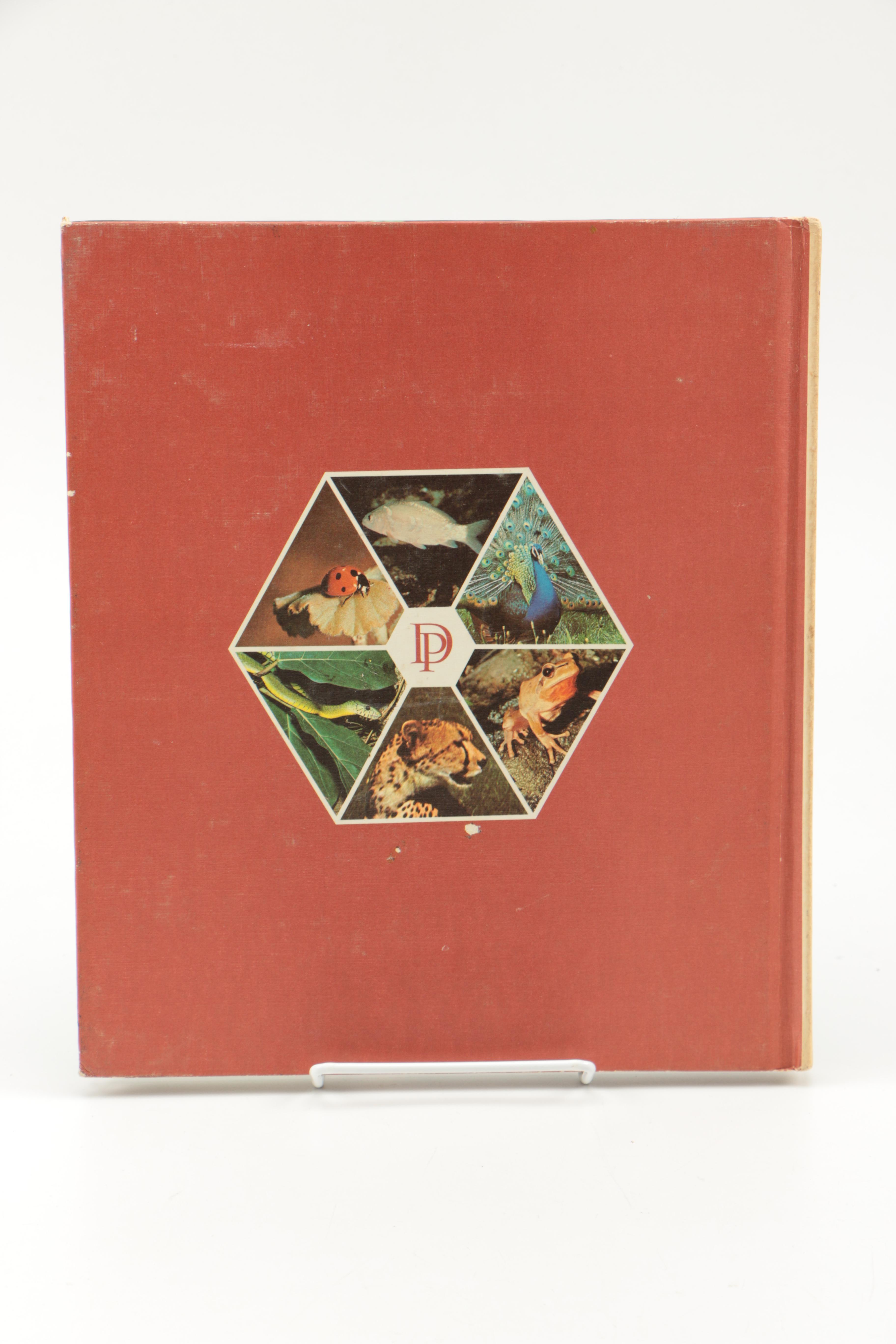 Collection of "The Illustrated Encyclopedia of the Animal Kingdom" Books