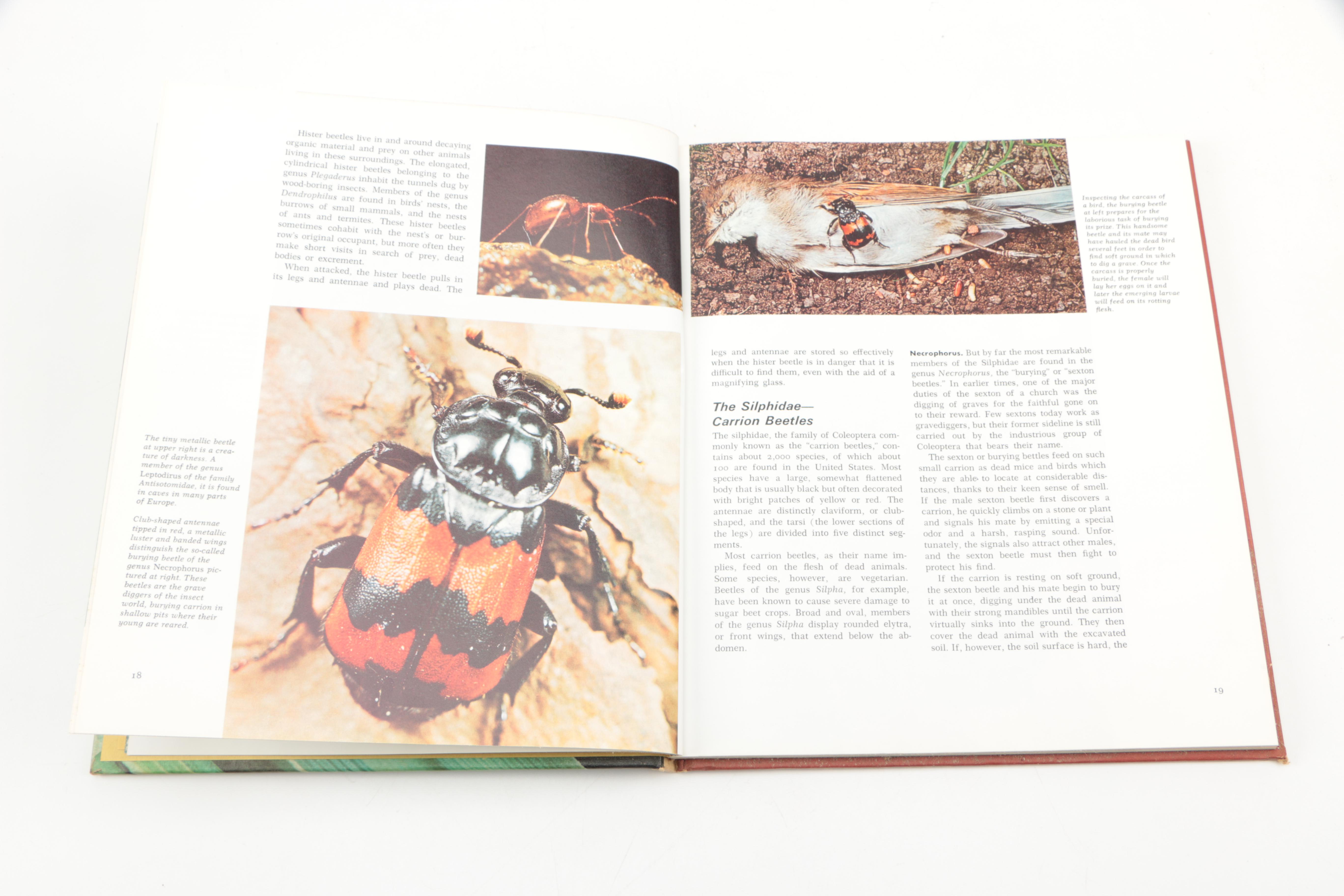 Collection of "The Illustrated Encyclopedia of the Animal Kingdom" Books