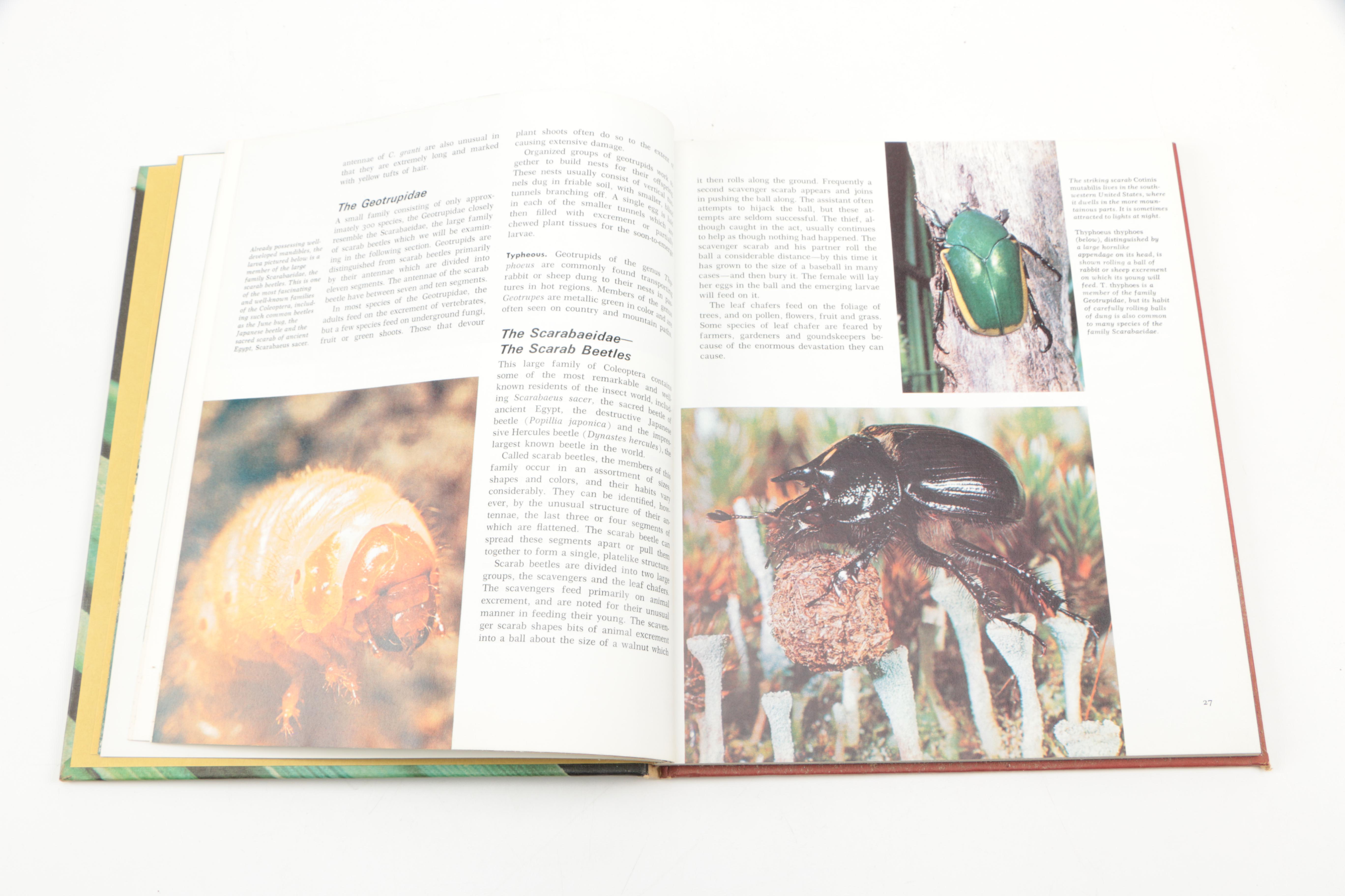 Collection of "The Illustrated Encyclopedia of the Animal Kingdom" Books