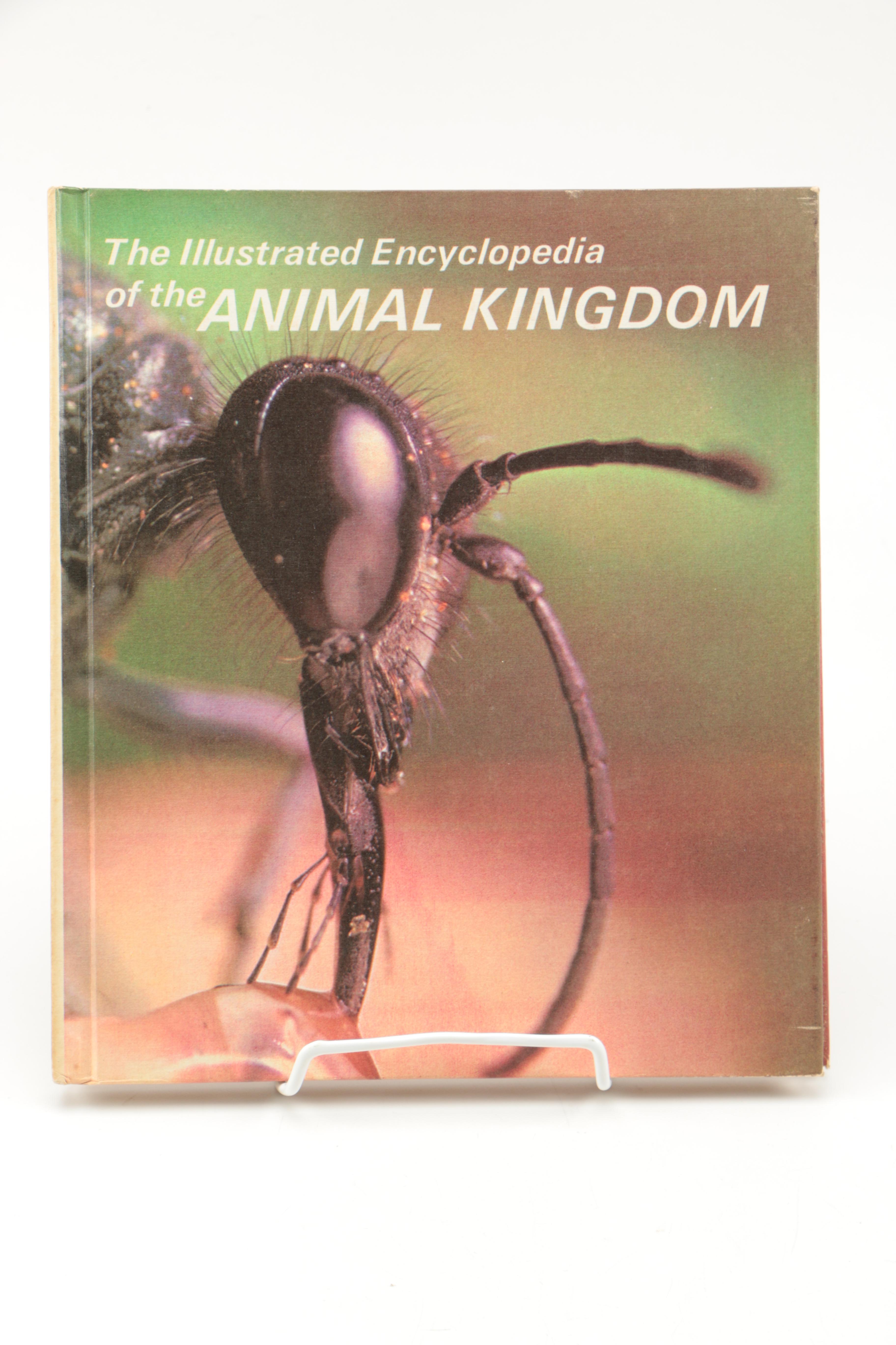 Collection of "The Illustrated Encyclopedia of the Animal Kingdom" Books