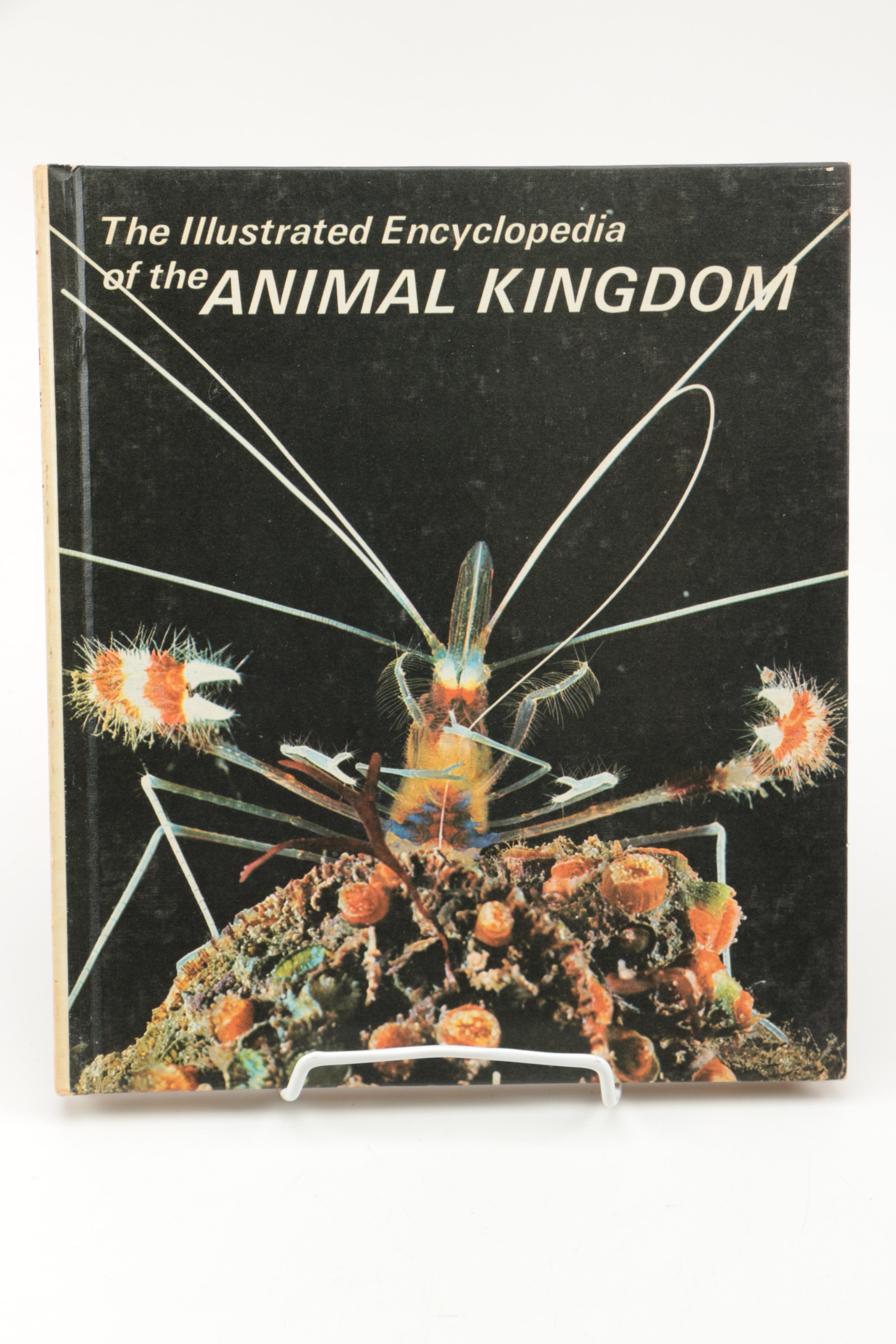 Collection of "The Illustrated Encyclopedia of the Animal Kingdom" Books