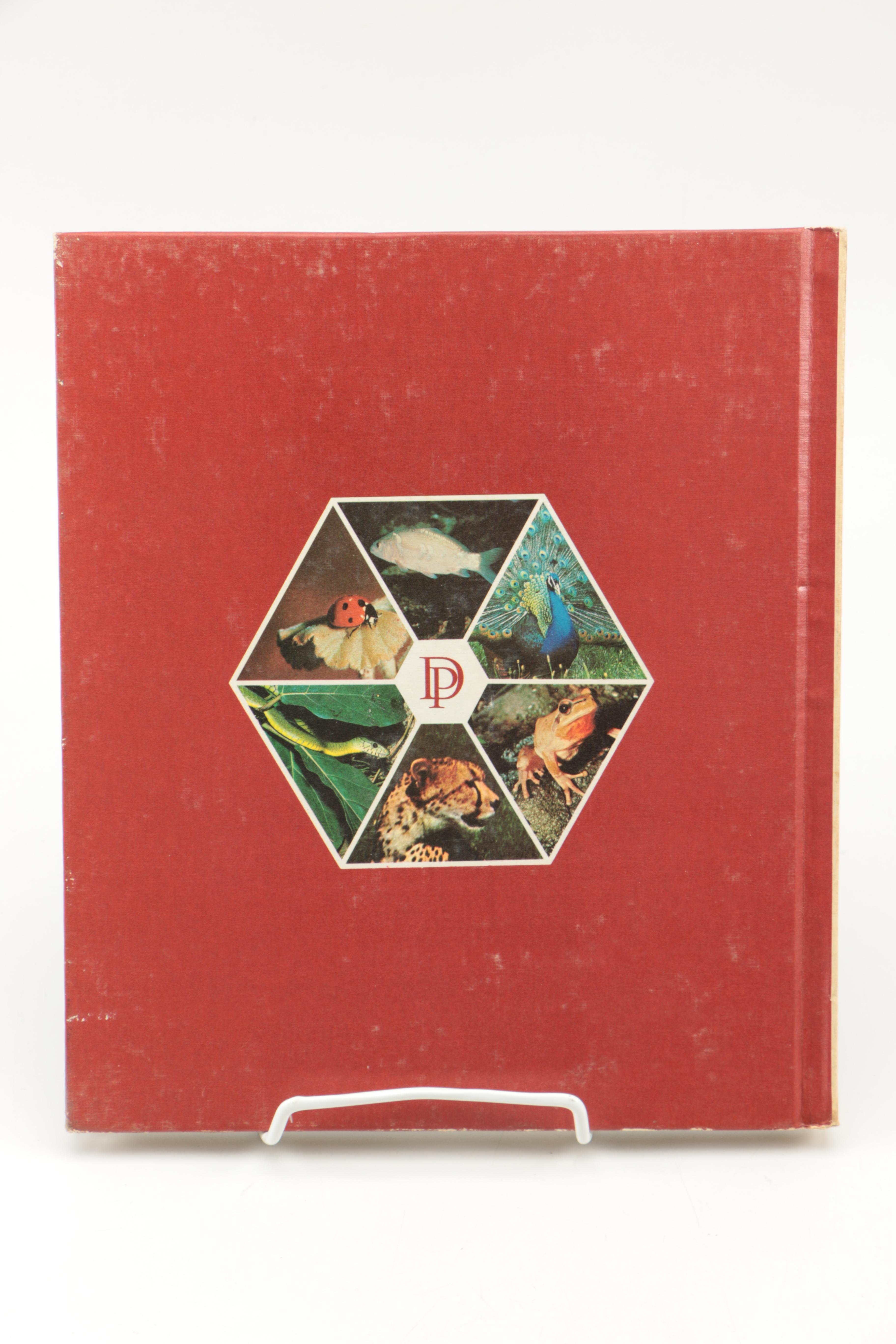 Collection of "The Illustrated Encyclopedia of the Animal Kingdom" Books