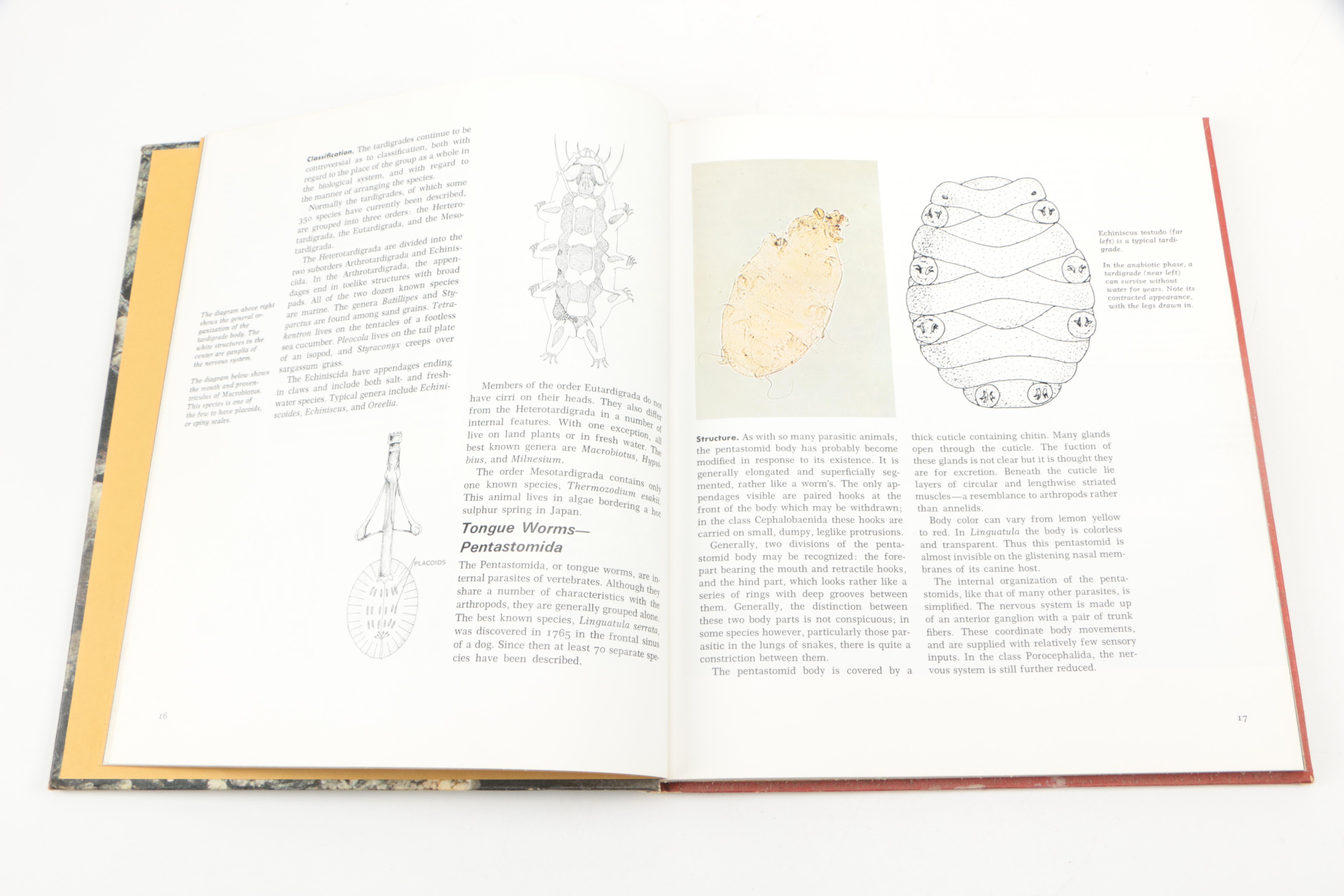 Collection of "The Illustrated Encyclopedia of the Animal Kingdom" Books