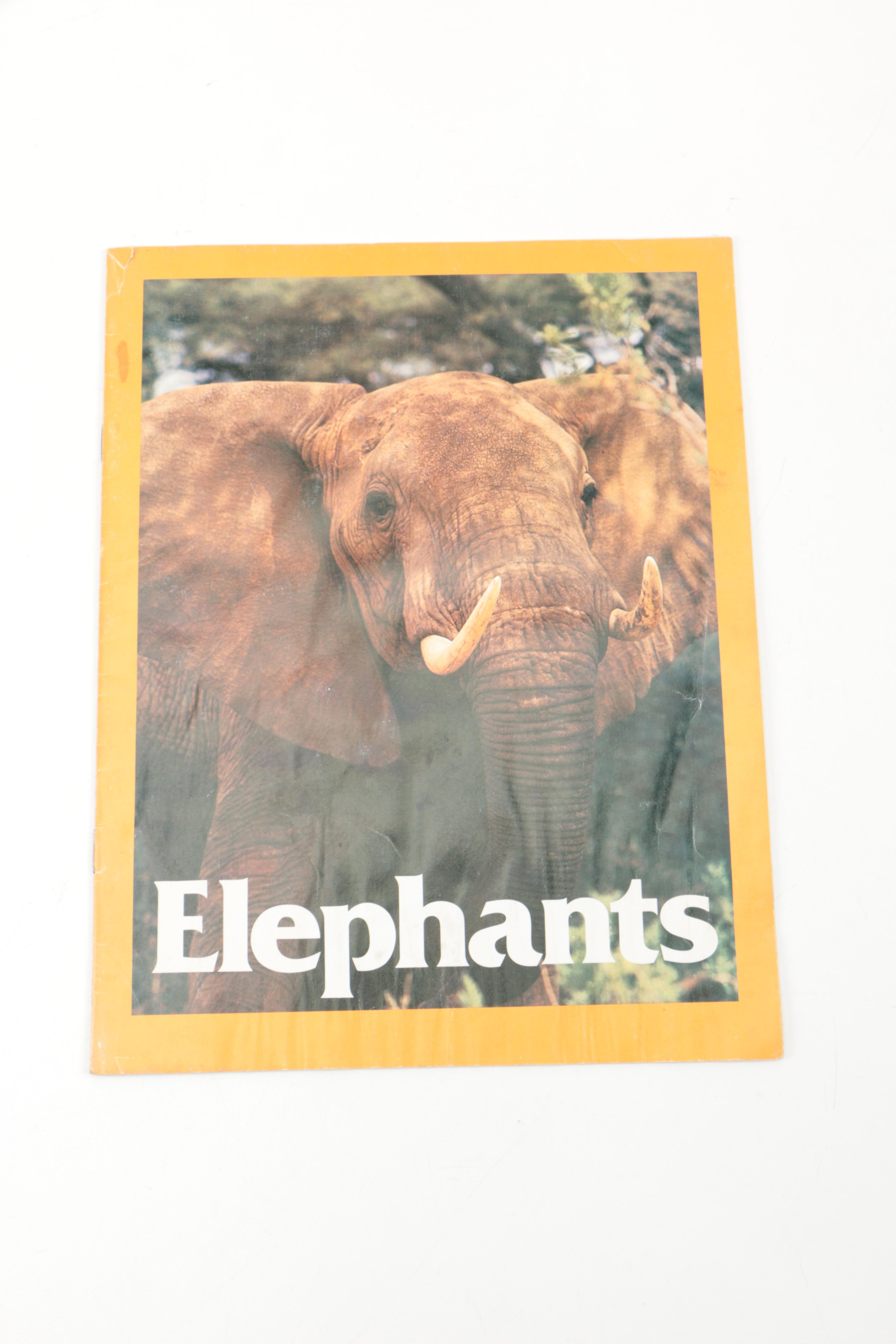 Collection of "The Illustrated Encyclopedia of the Animal Kingdom" Books