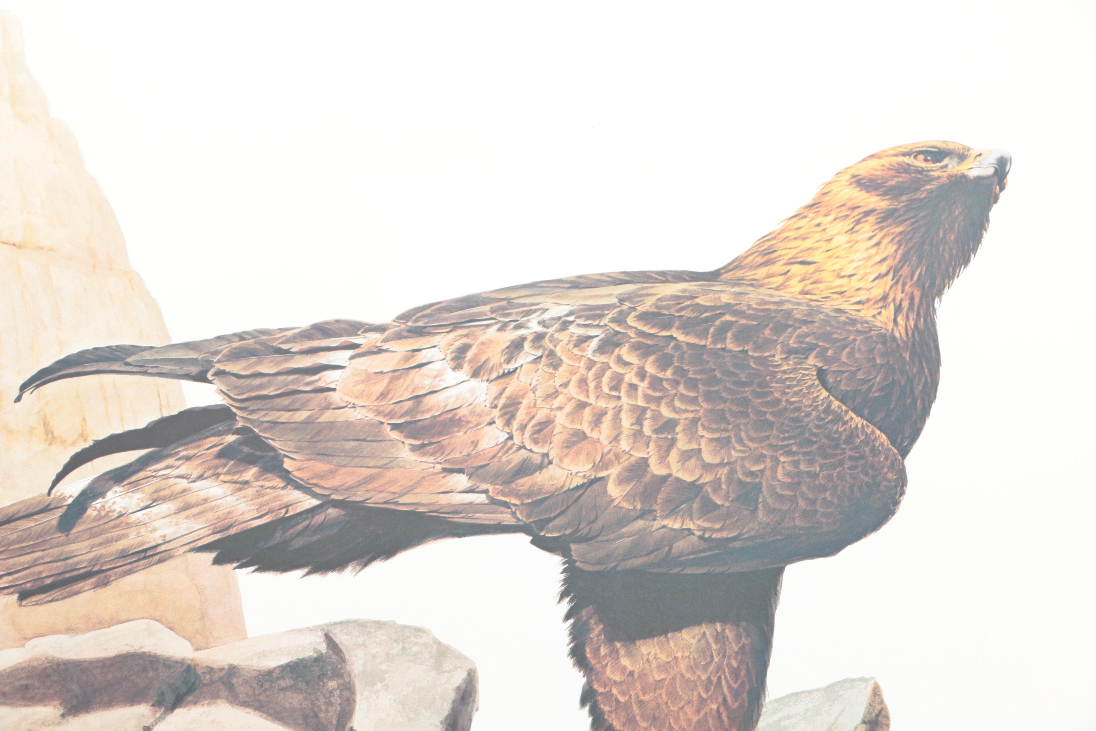 Guy Coheleach Offset Lithograph "Golden Eagle"