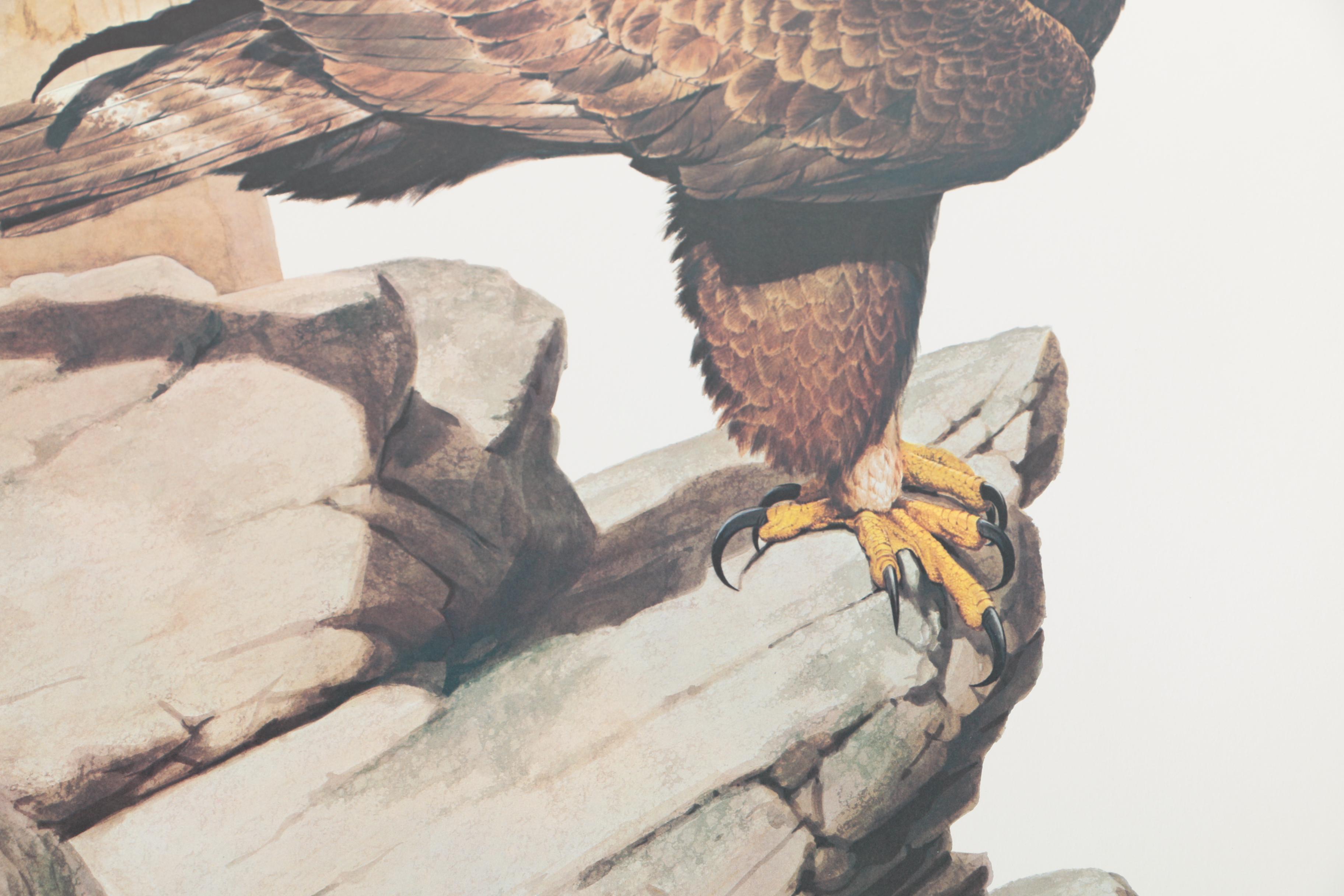 Guy Coheleach Offset Lithograph "Golden Eagle"
