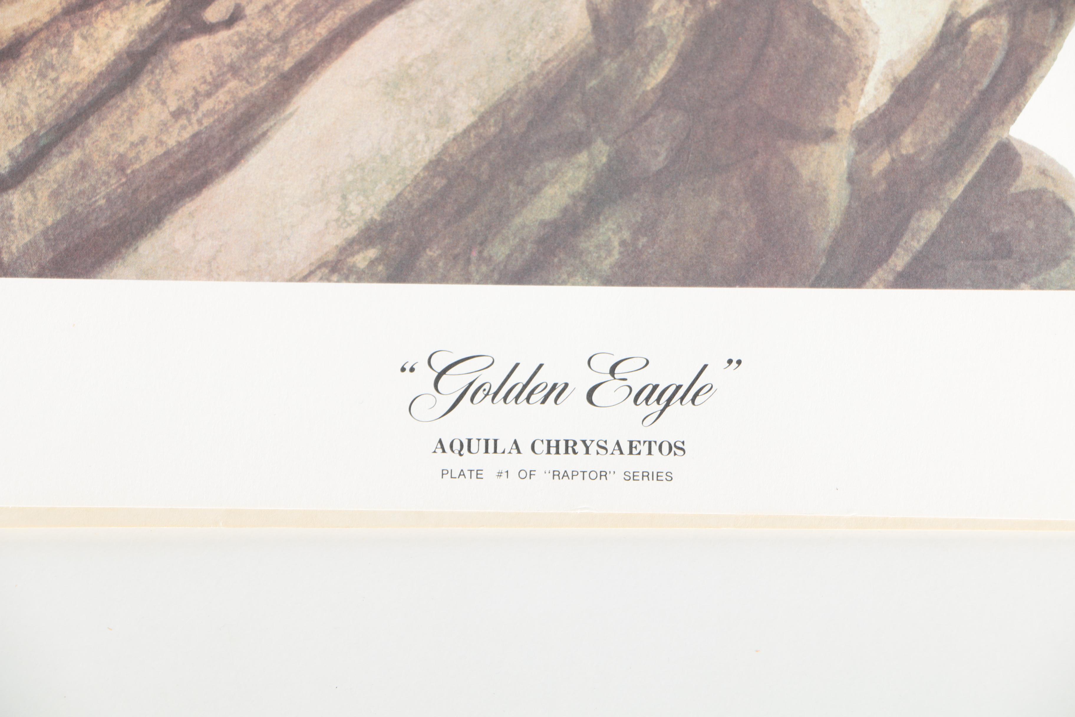 Guy Coheleach Offset Lithograph "Golden Eagle"