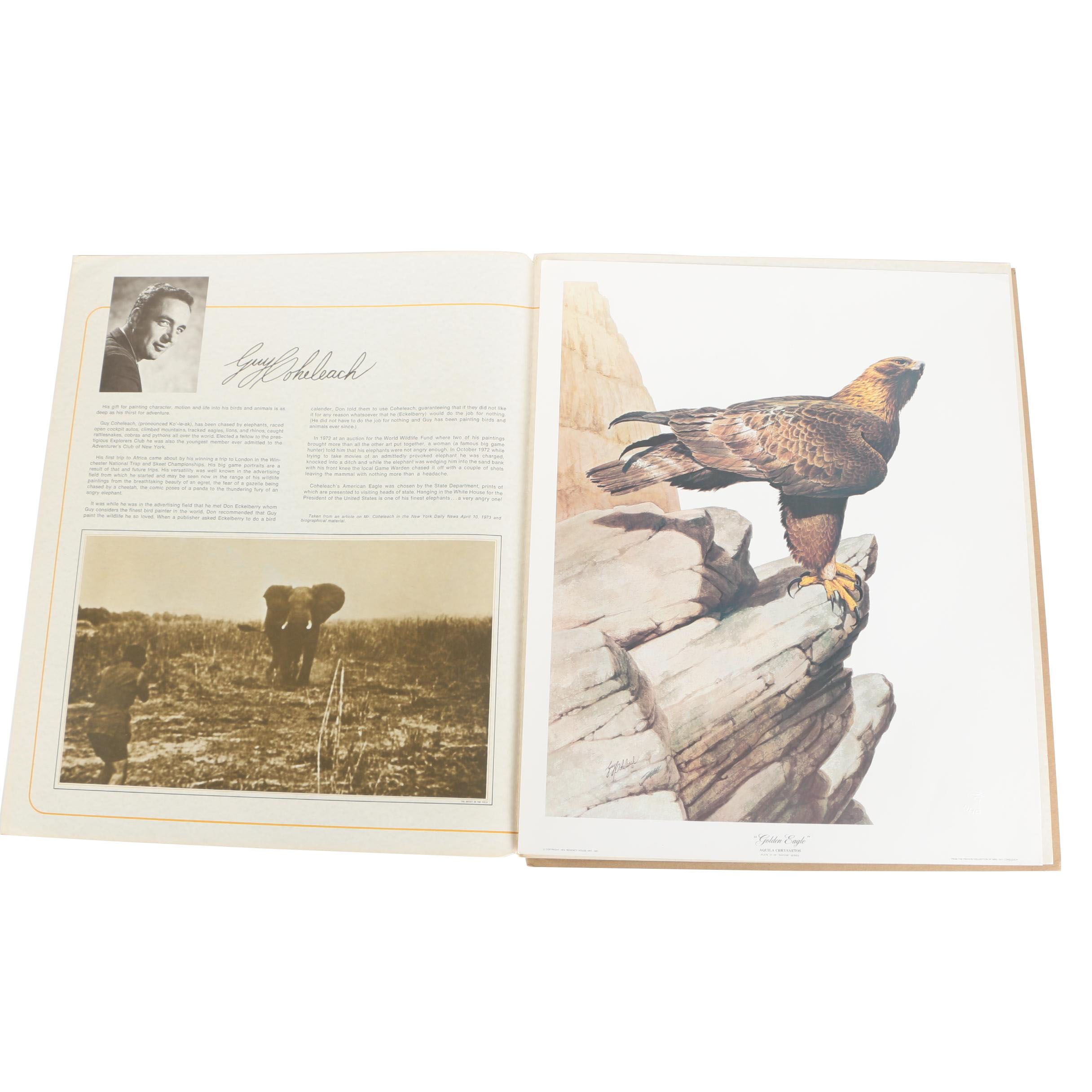 Guy Coheleach Offset Lithograph "Golden Eagle"