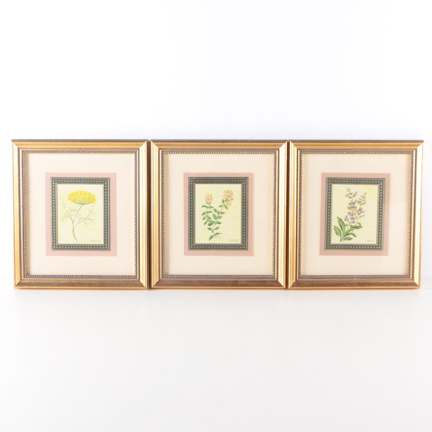 Offset Lithographs on Paper After Illustrations of Herbs