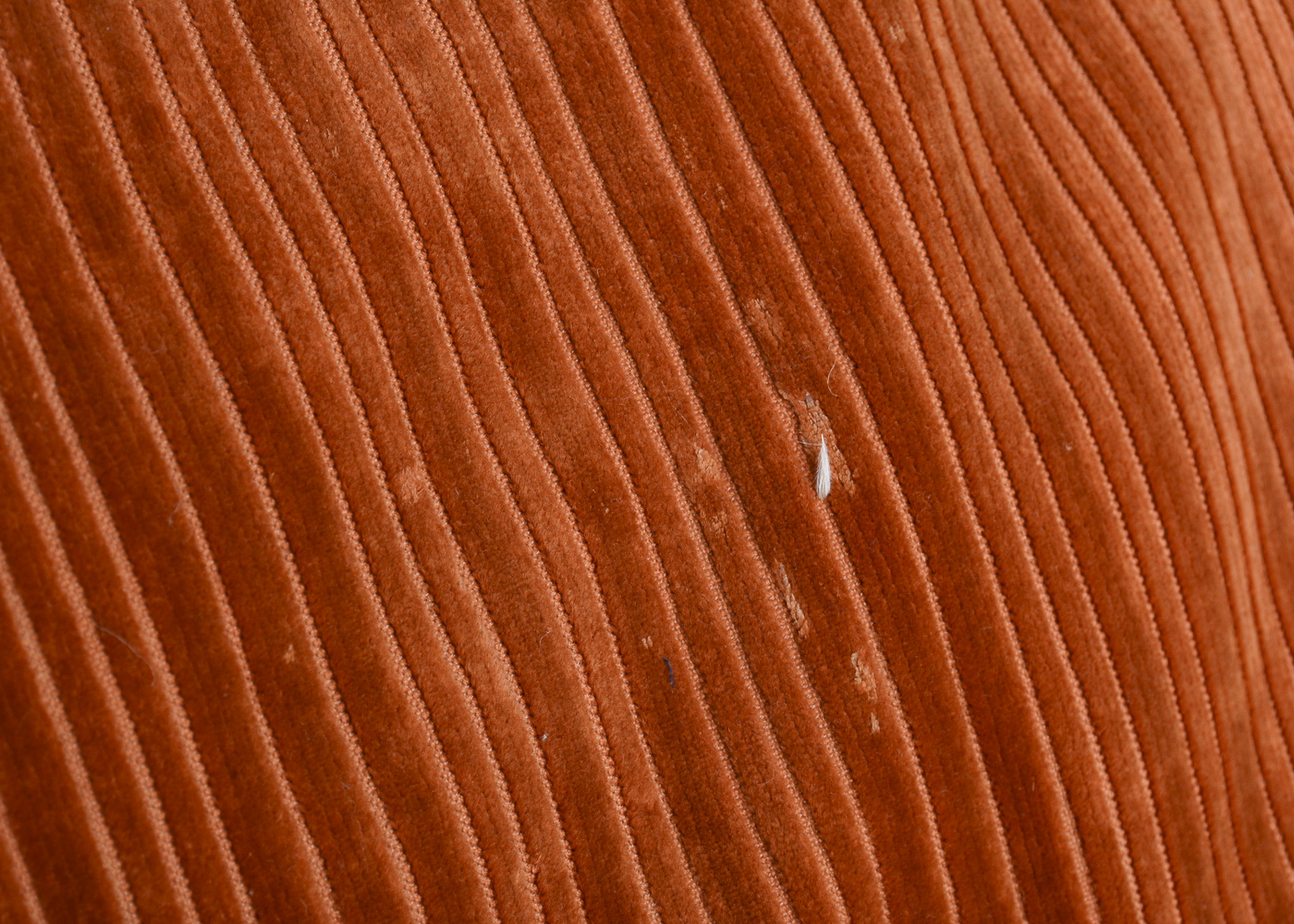 Mid Century Modern Sofa