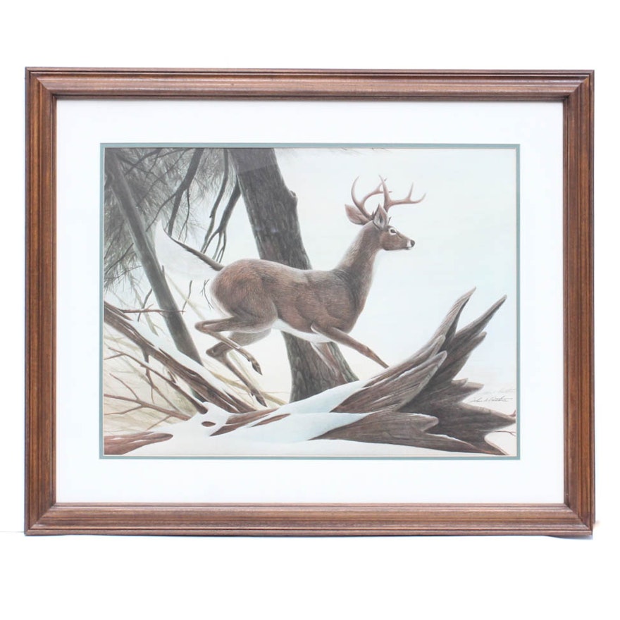 John A. Ruthven "White Tailed Deer" Signed Offset Lithograph Print