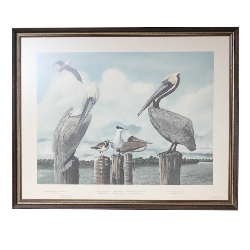 Ray Harm "The Pelicans" Offset Lithograph Print