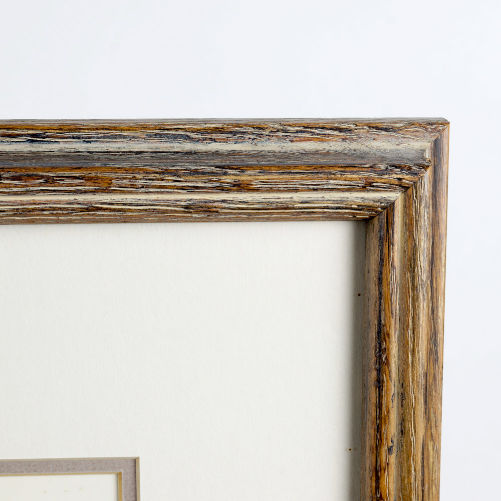 Gary J. Dixon Framed Bird Prints