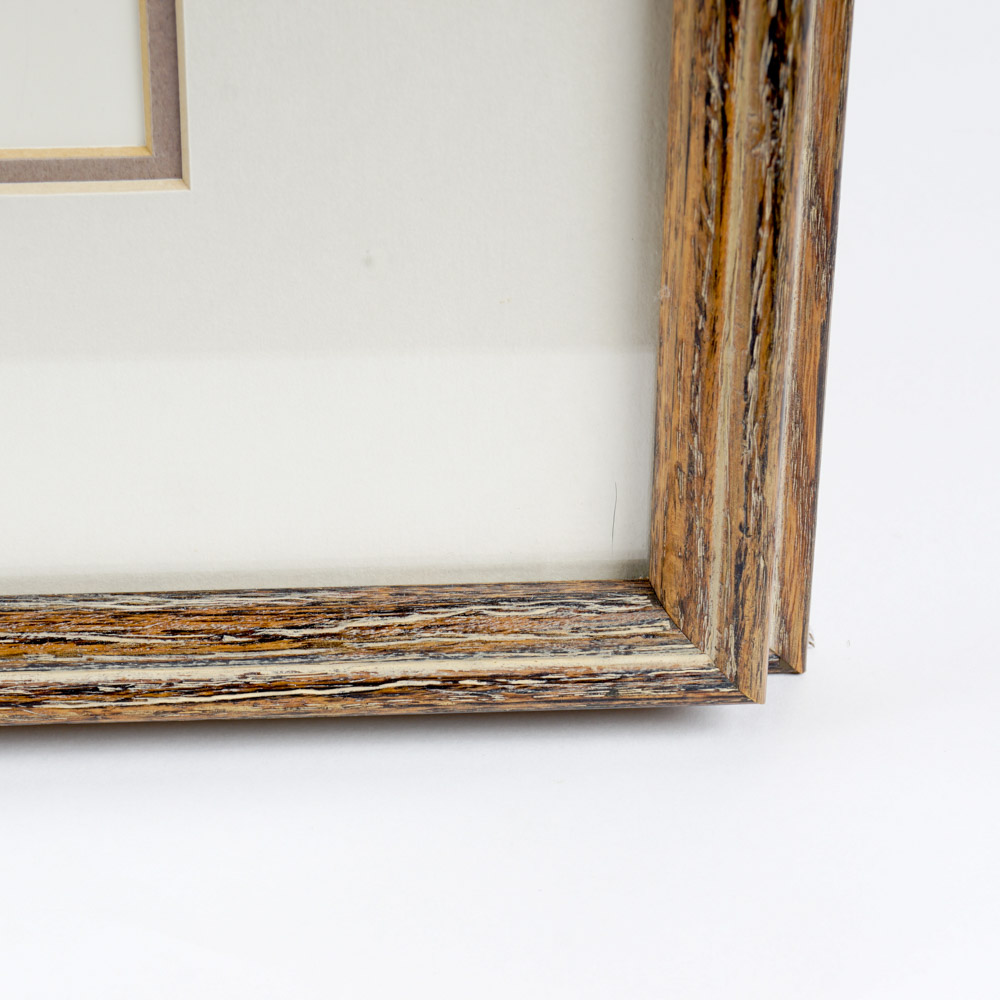 Gary J. Dixon Framed Bird Prints