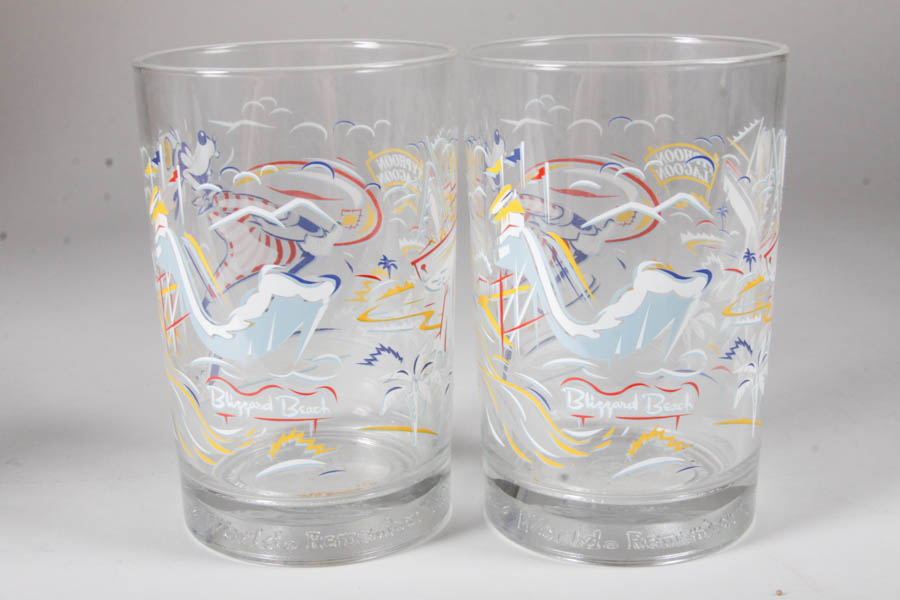 Remember the Magic Disney World 25th Anniversary Glasses