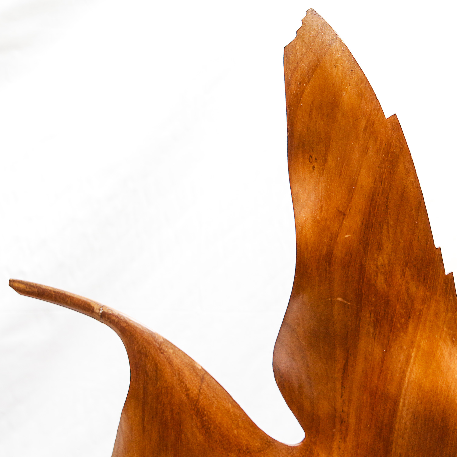 Wooden Angelfish Sculpture