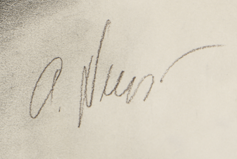 Charcoal Drawing on Paper Nude Woman